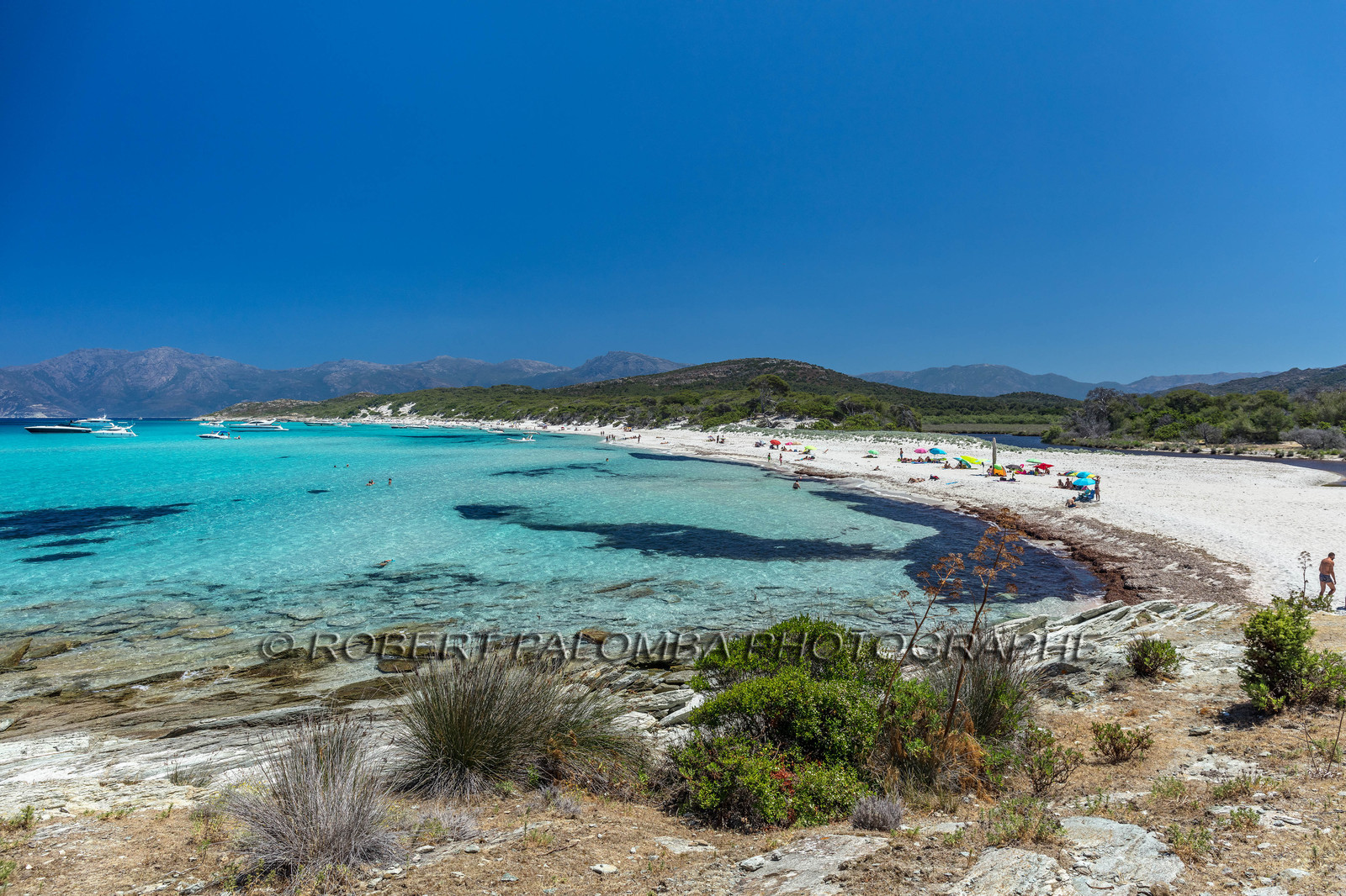 Saleccia