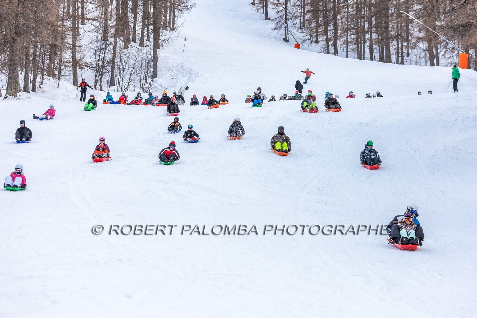 Luge