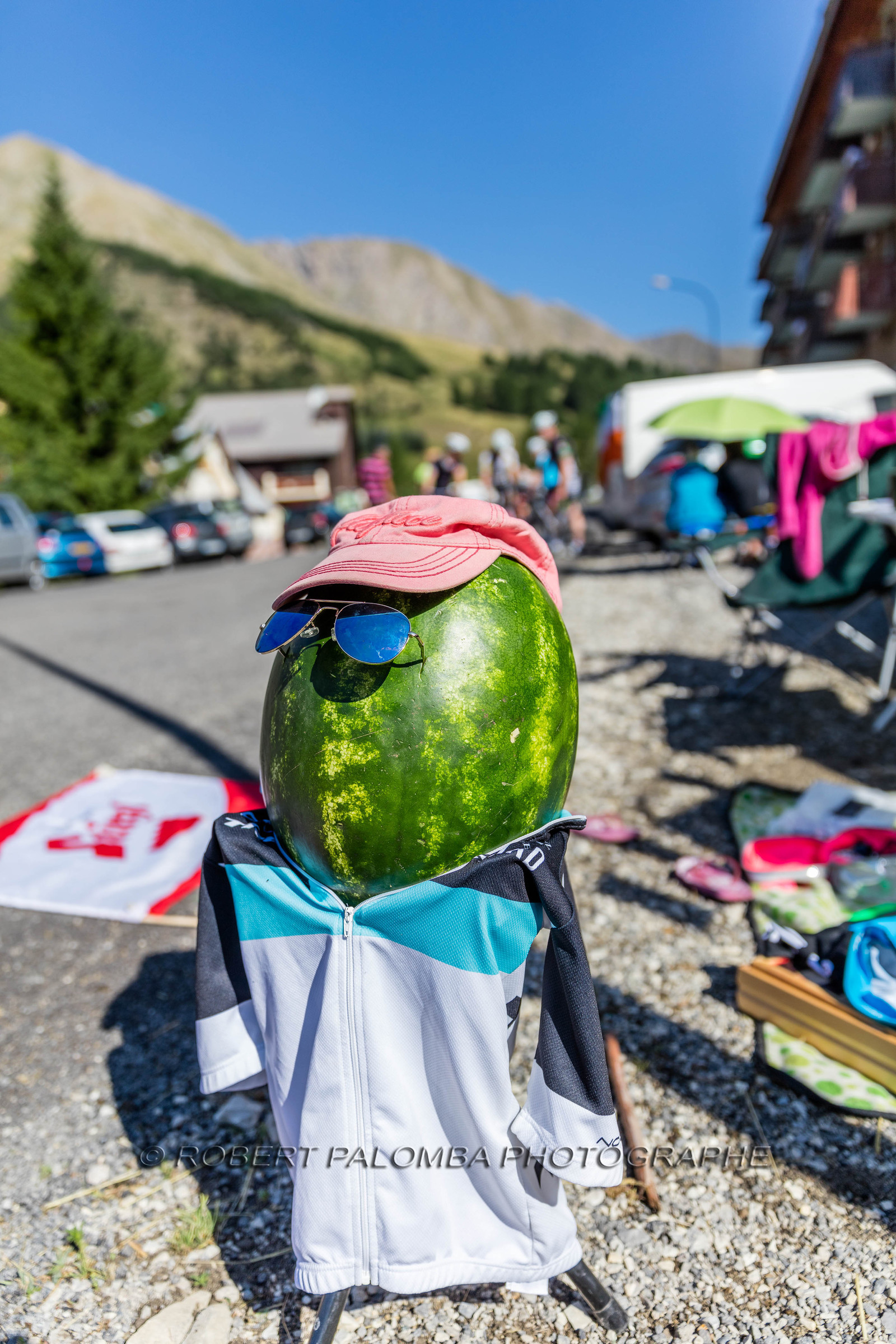Tour de France 2015