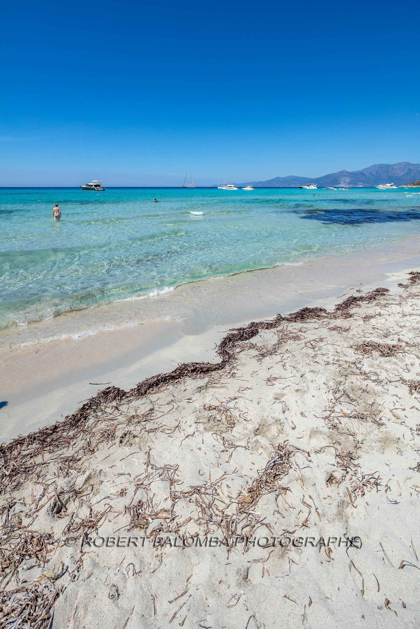 Saleccia