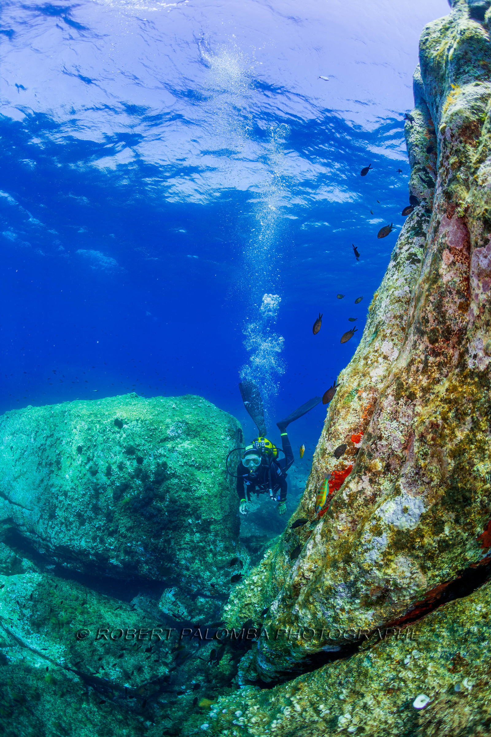 Plongée-sous-marine