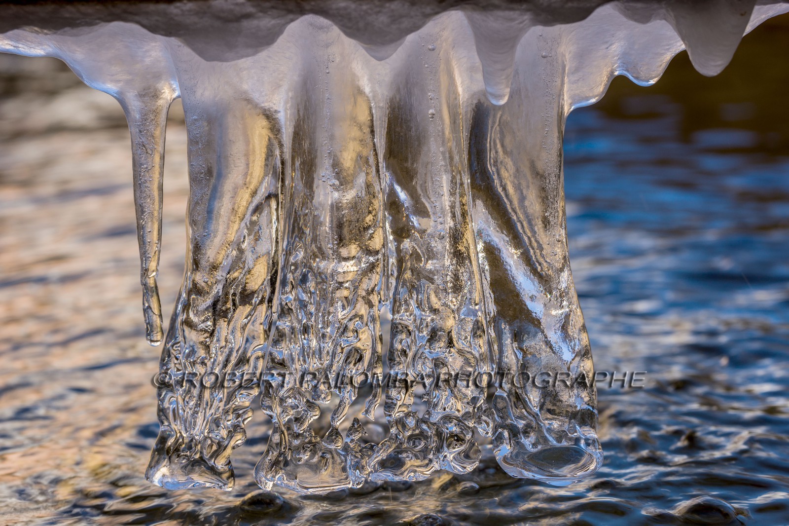 Saint-Dalmas-le-Selvage