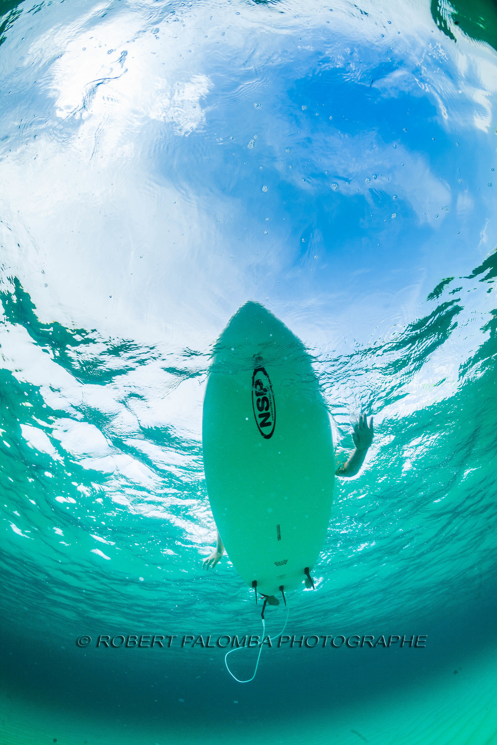 Surf