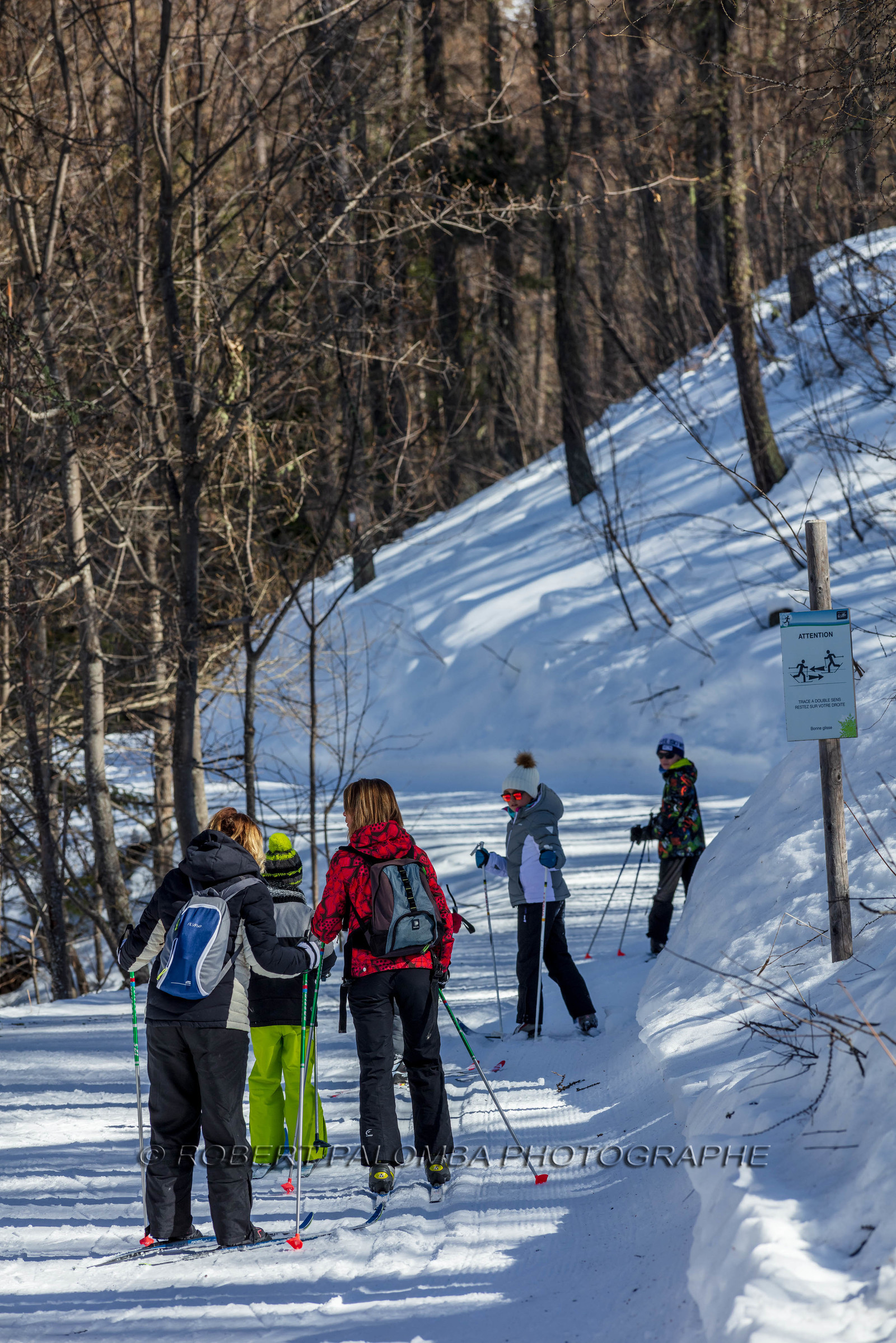 Ski-de-fond