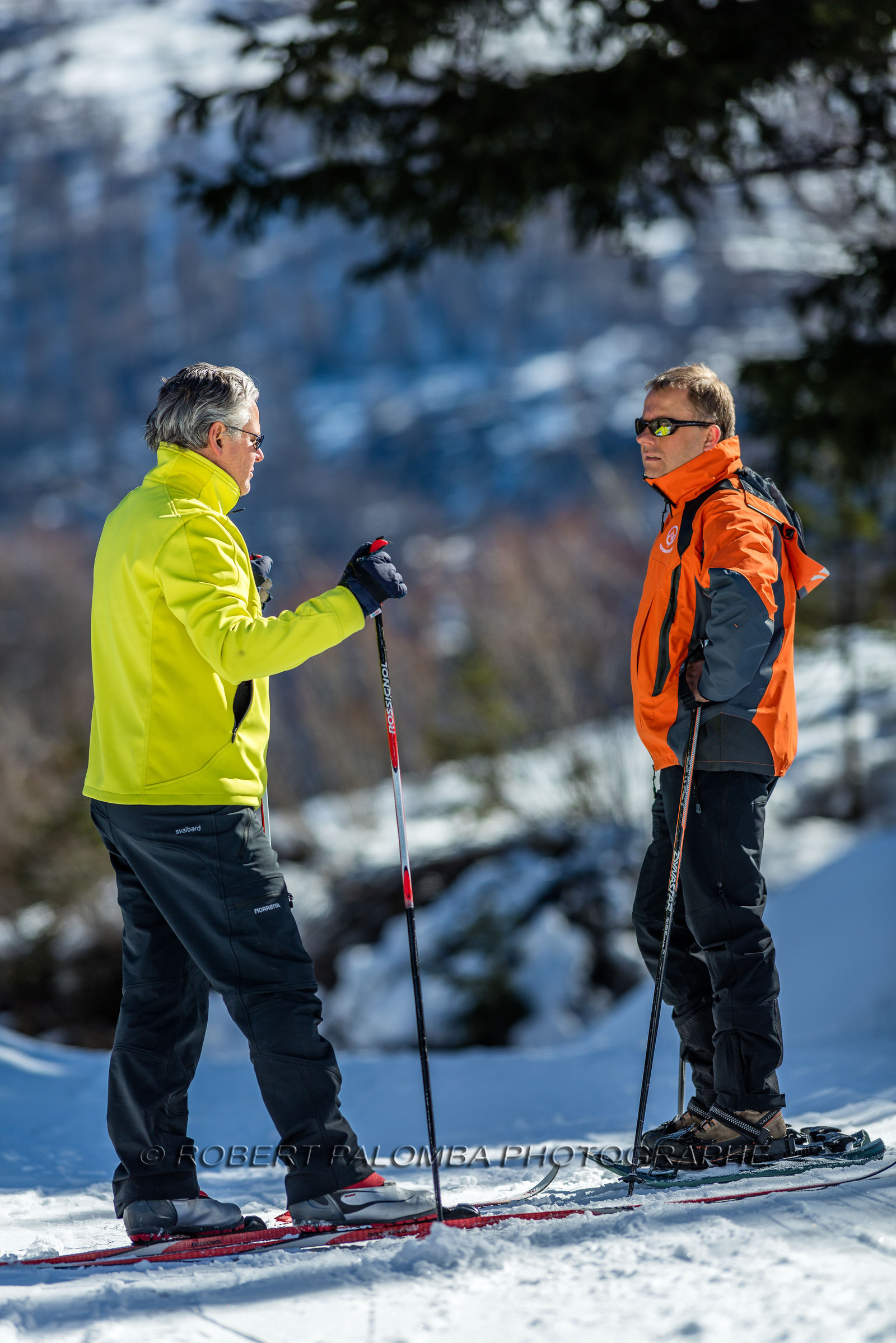 Ski de fond