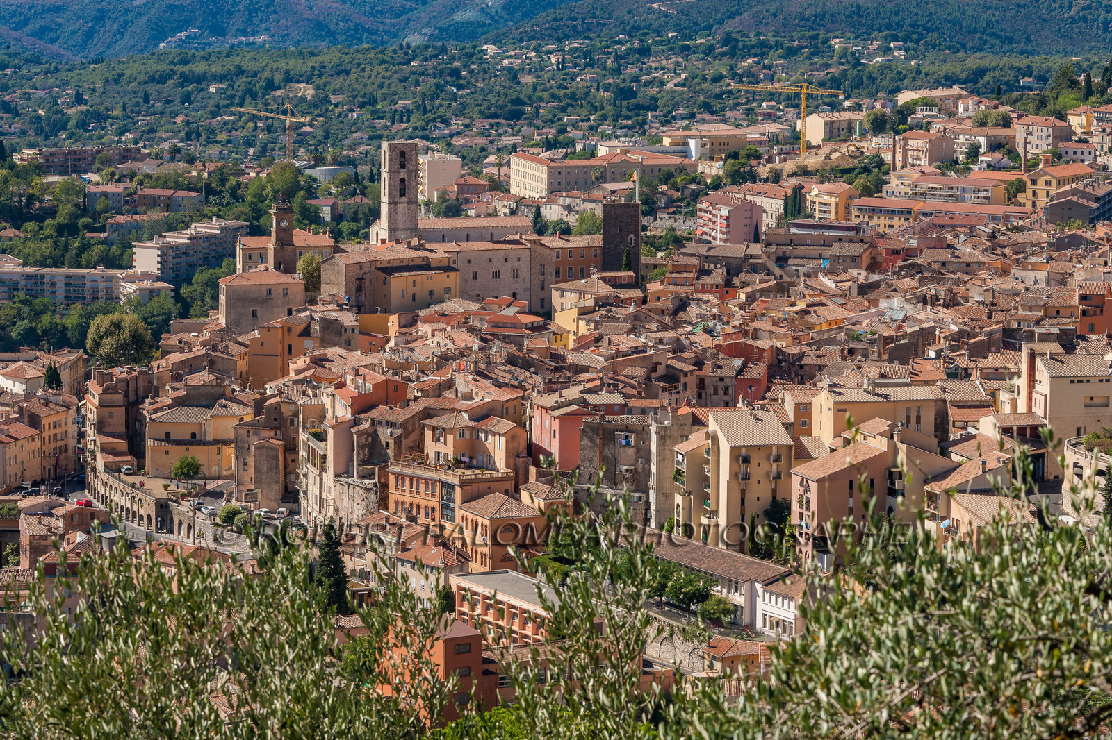 Grasse