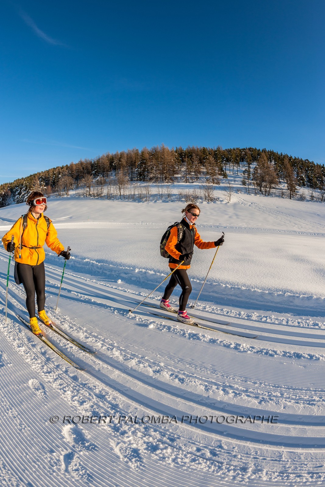 Ski de fond