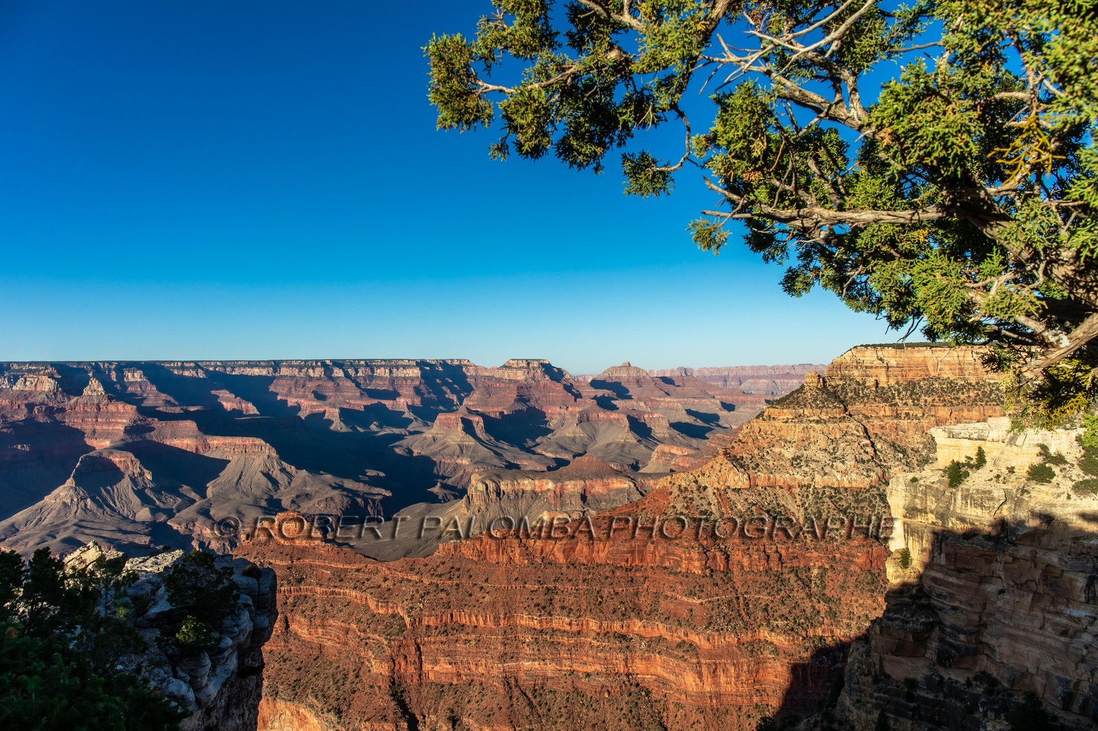 Grand Canyon