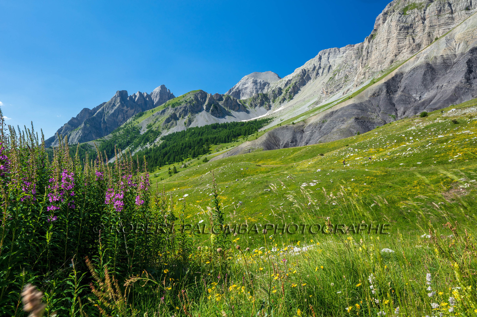 Col des Champs