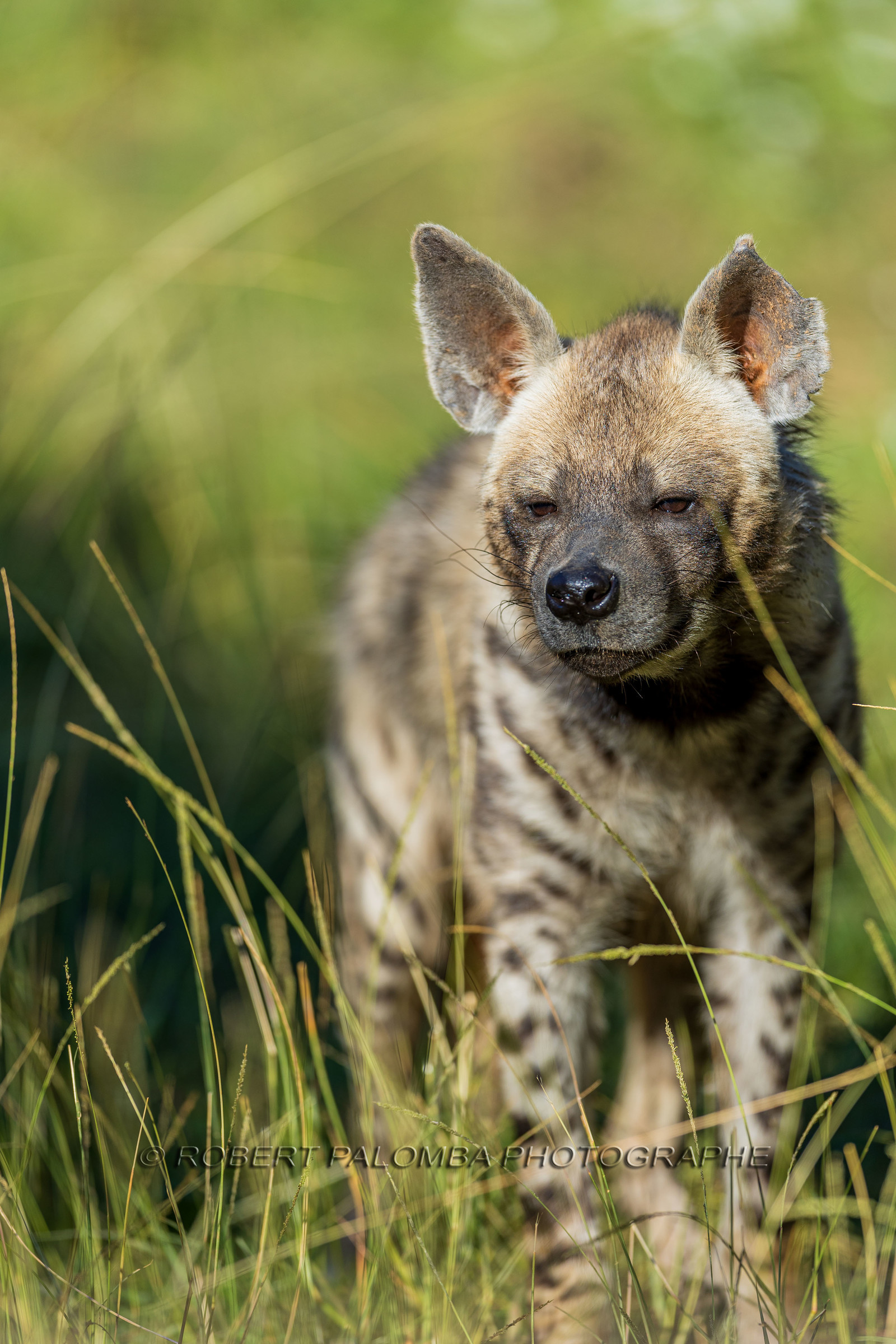 Parc animalier de la Barben