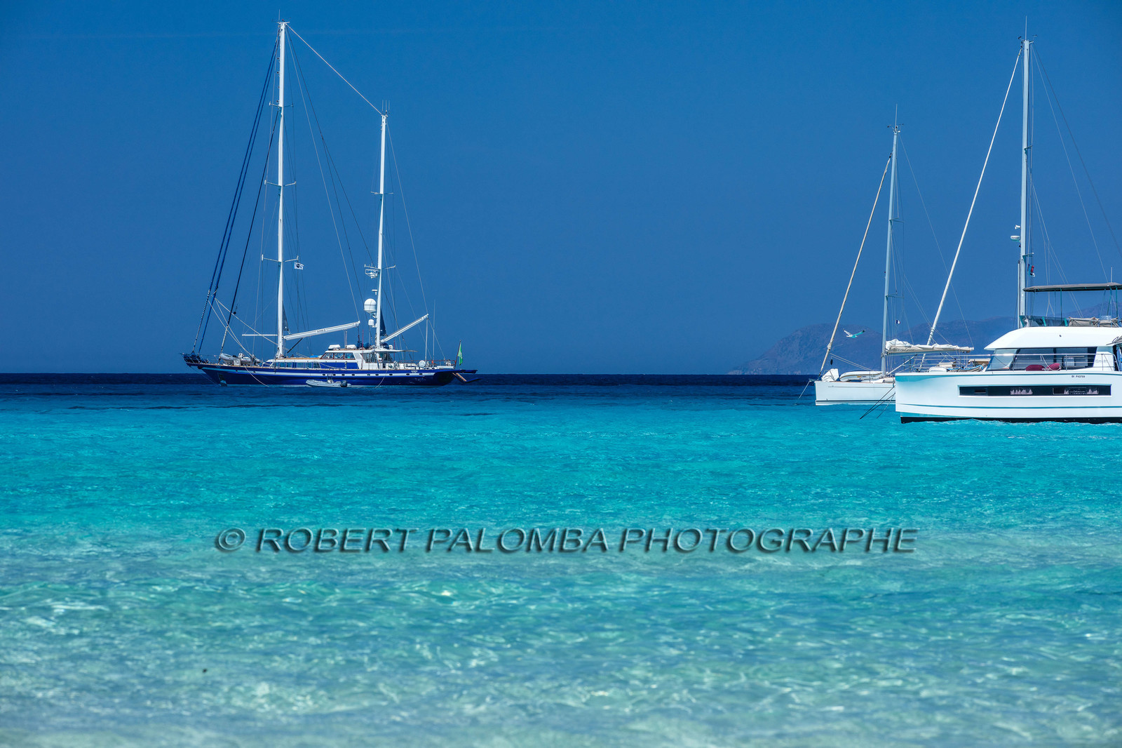 Saleccia