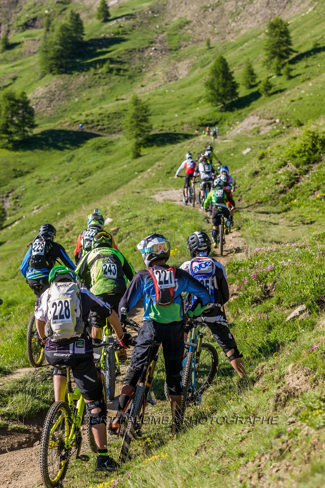Vtt