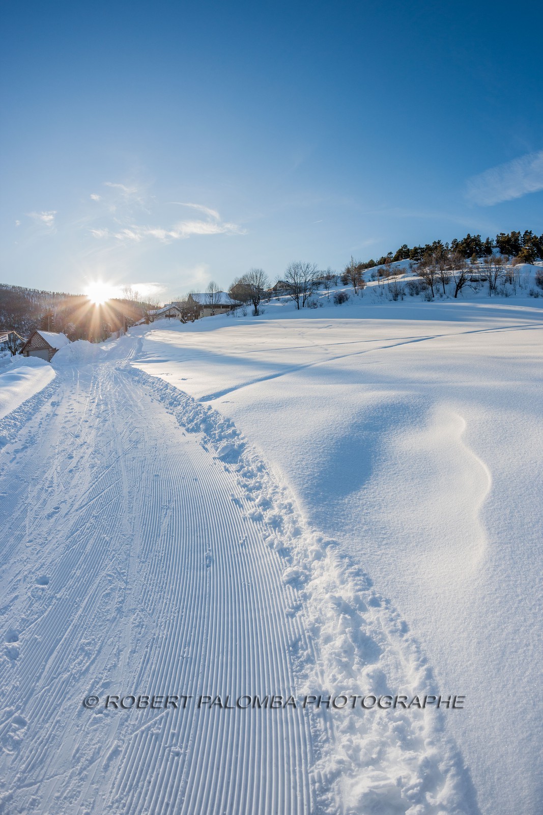 Ski de fond