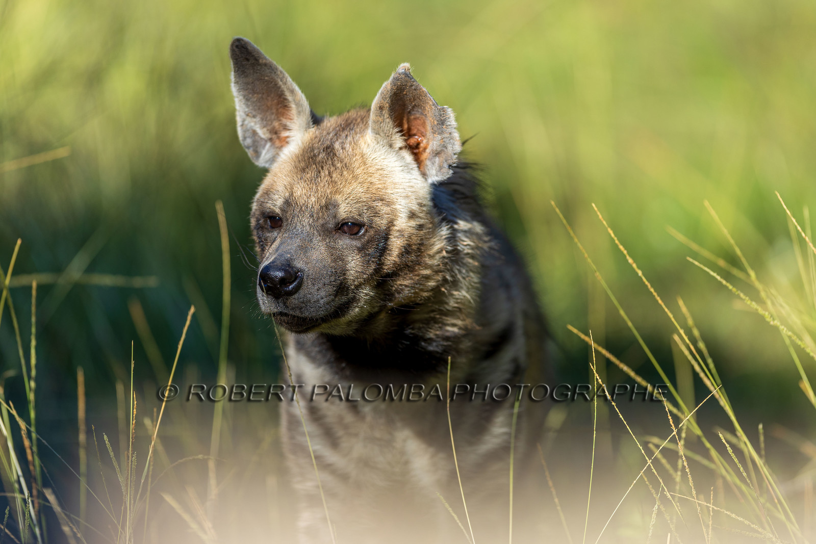 Parc animalier de la Barben