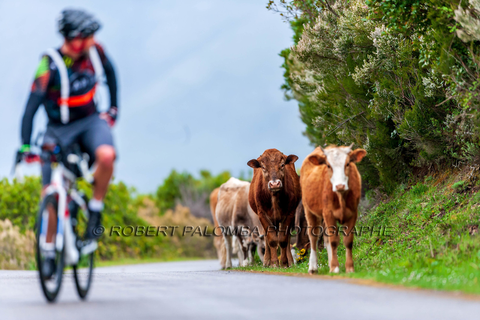Col de Bigorno