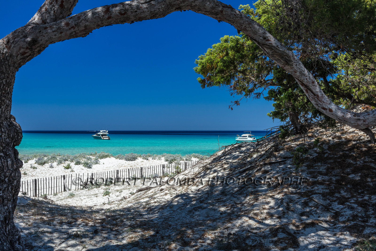 Saleccia