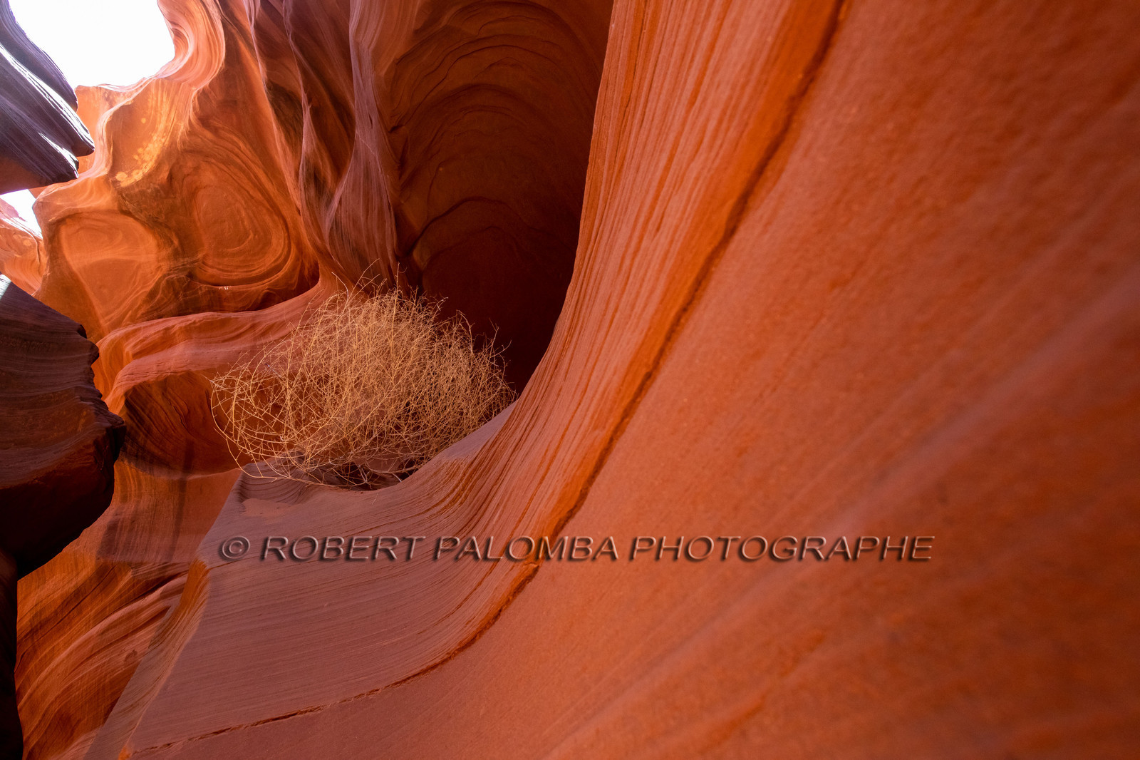 Antelope Canyon