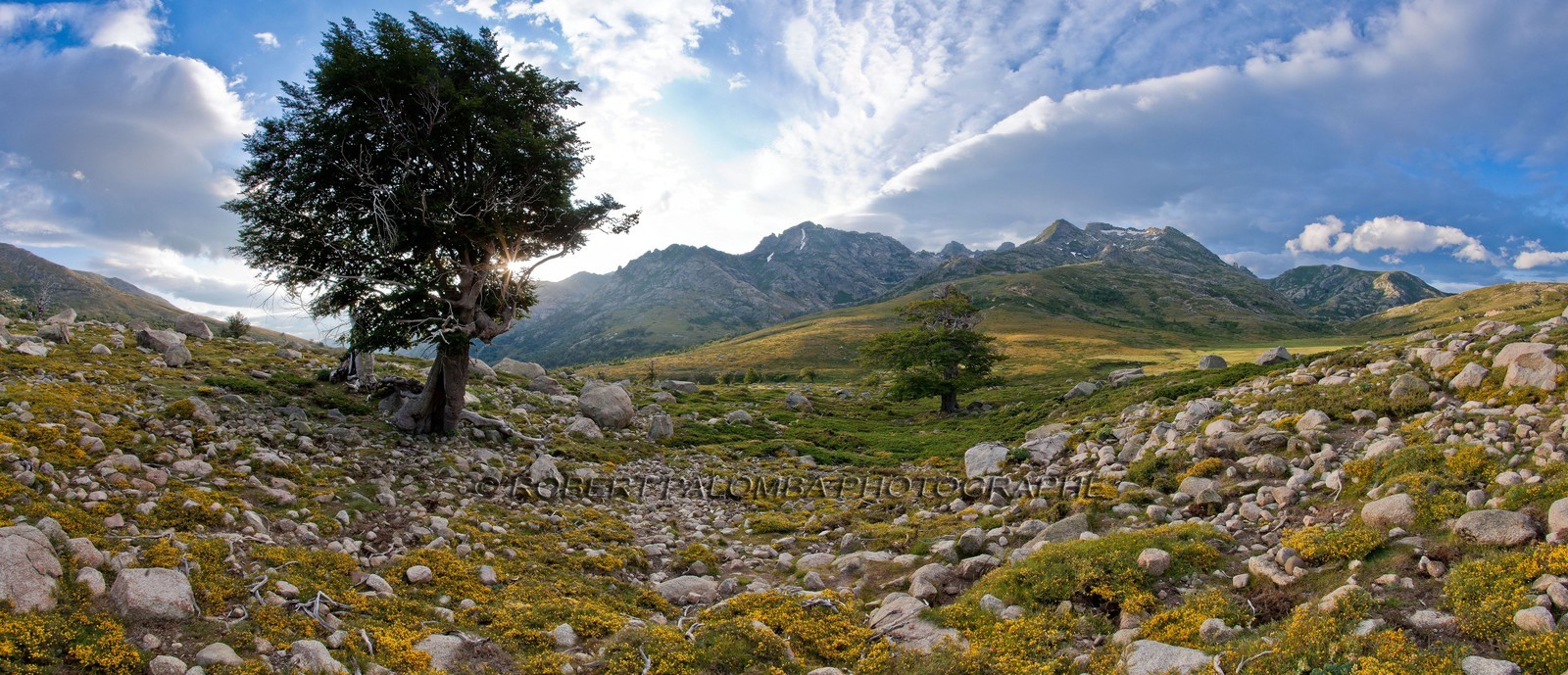 GR 20 Nord