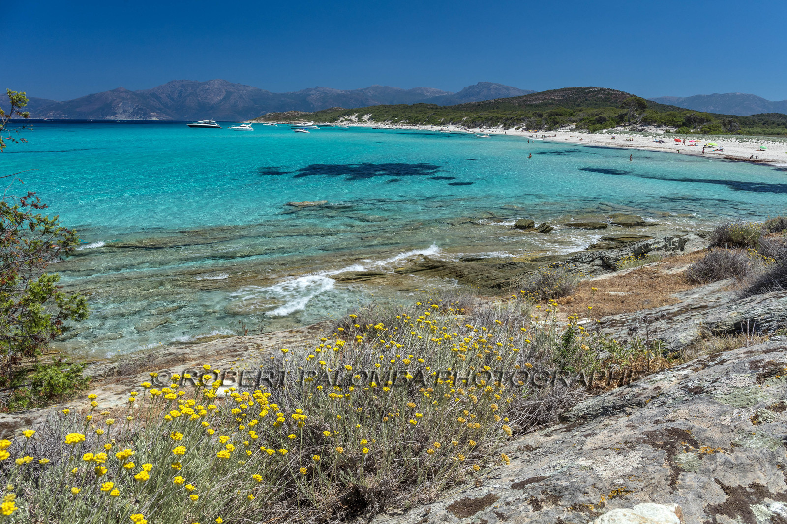 Saleccia