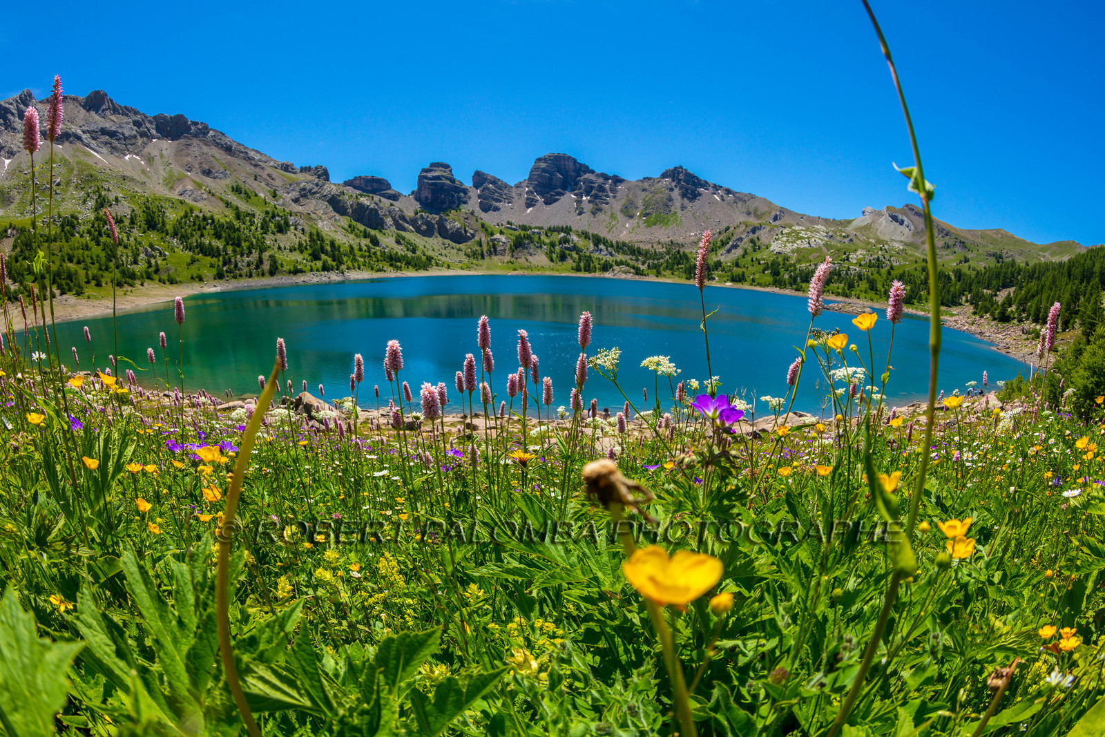 Lac d'Allos