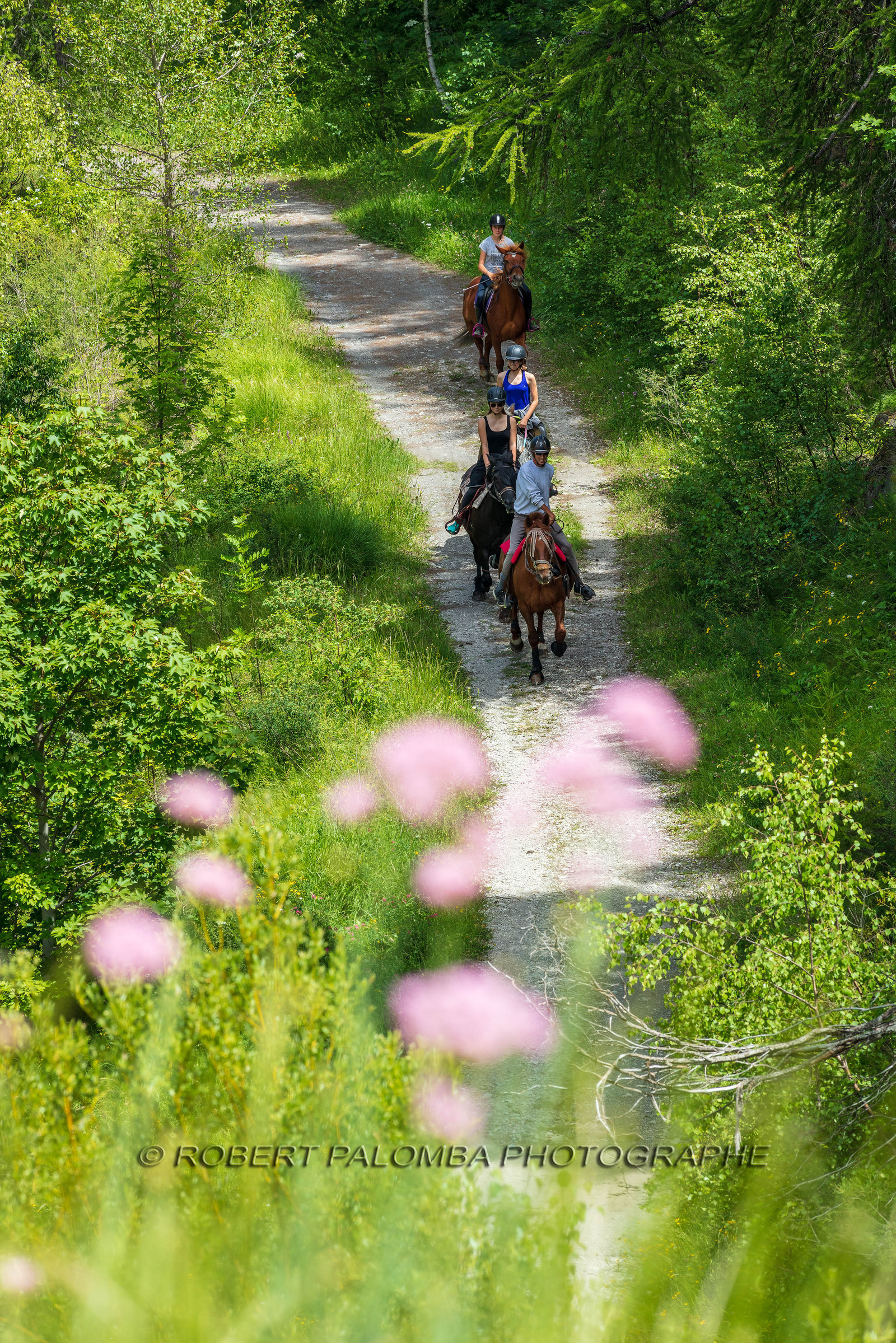 Equitation