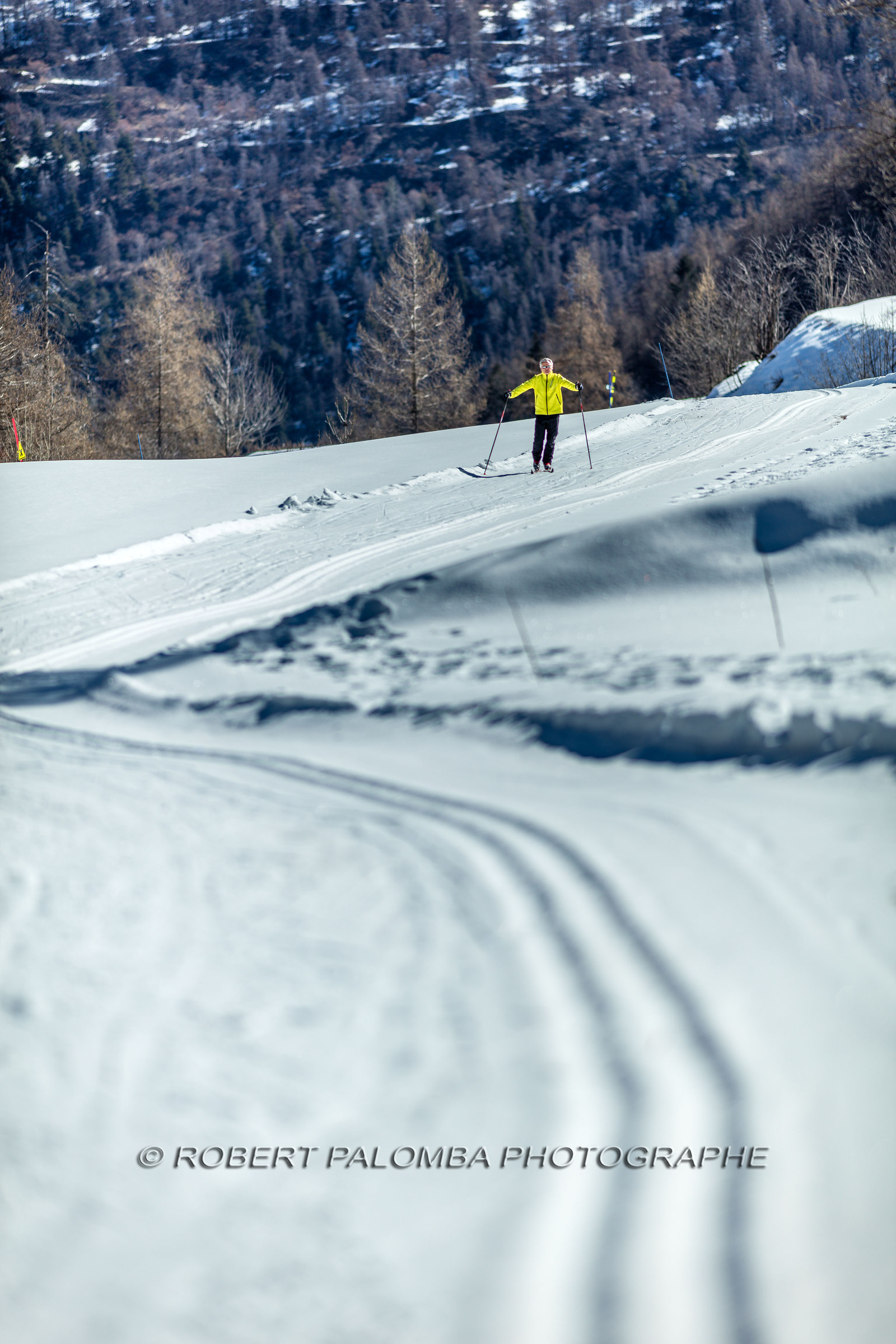 Ski de fond