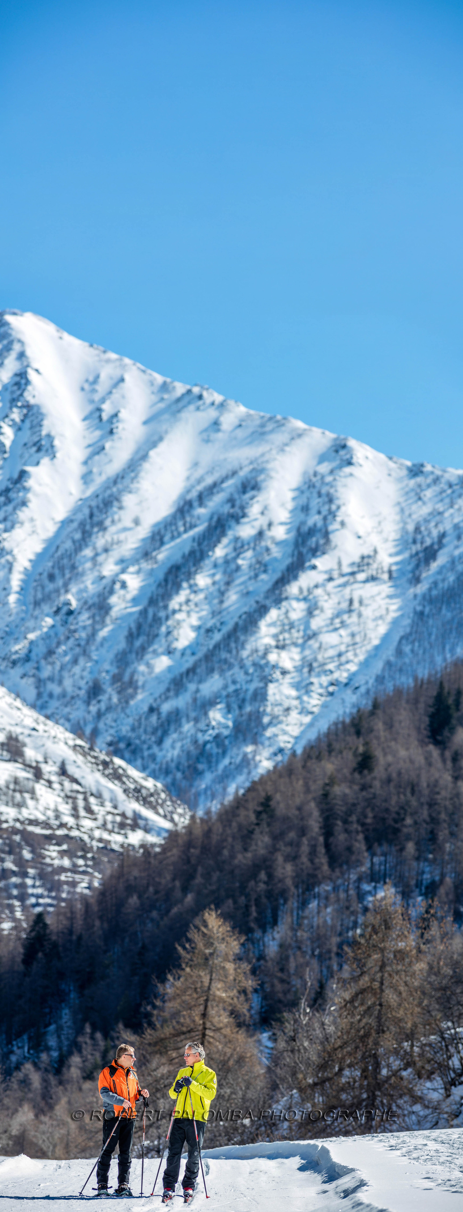 Ski de fond
