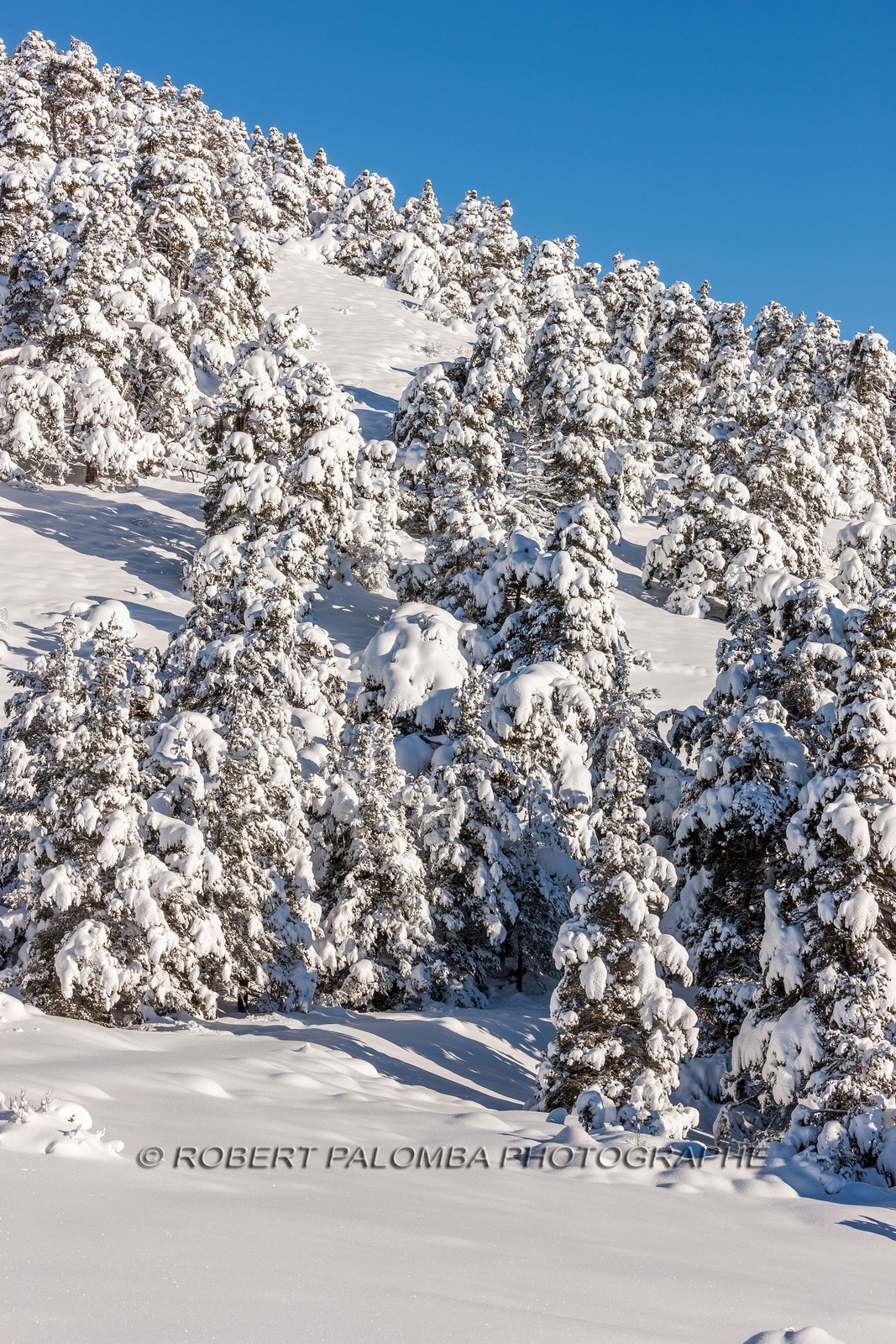Gréolières-les-Neiges