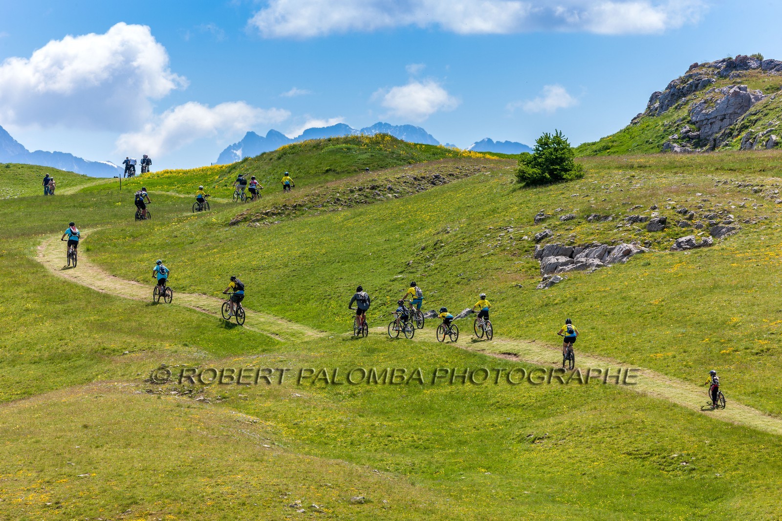 Vtt