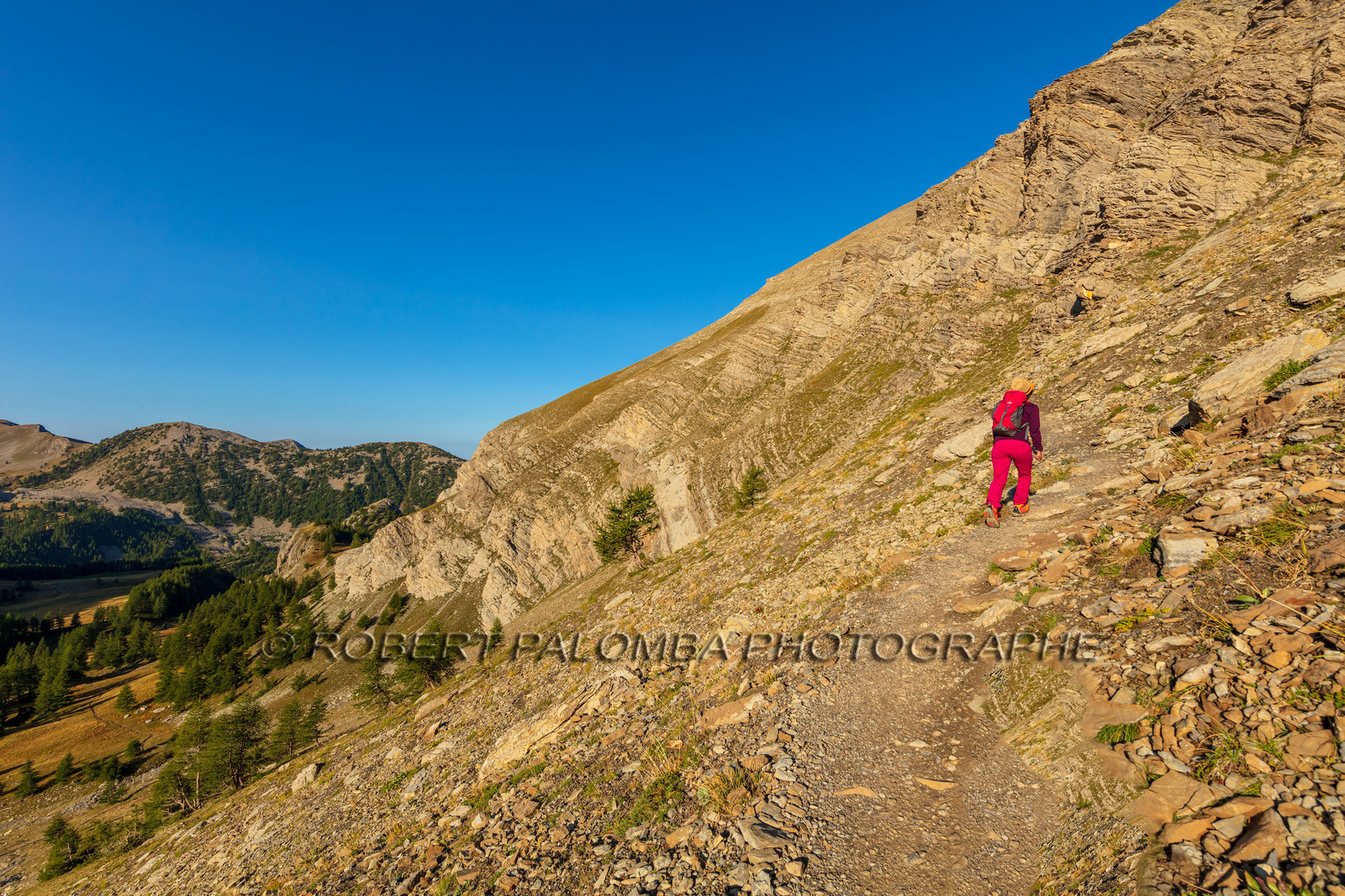 Mont Pelat