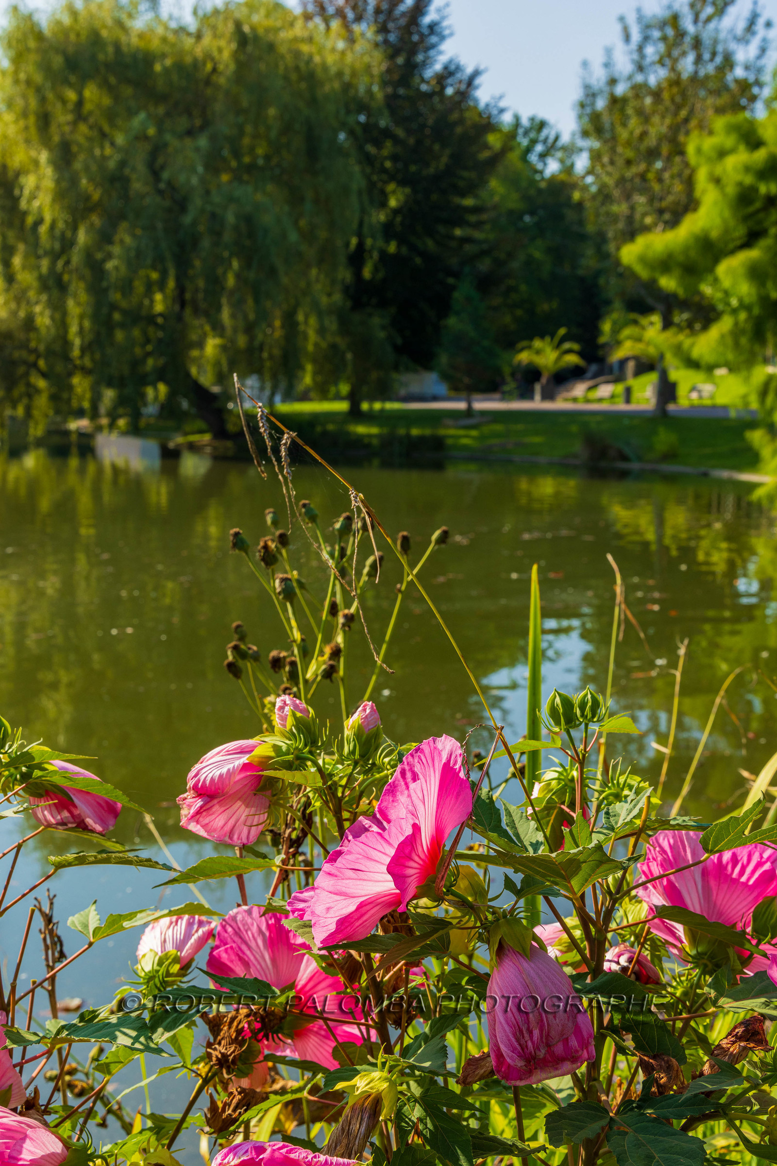 Strasbourg