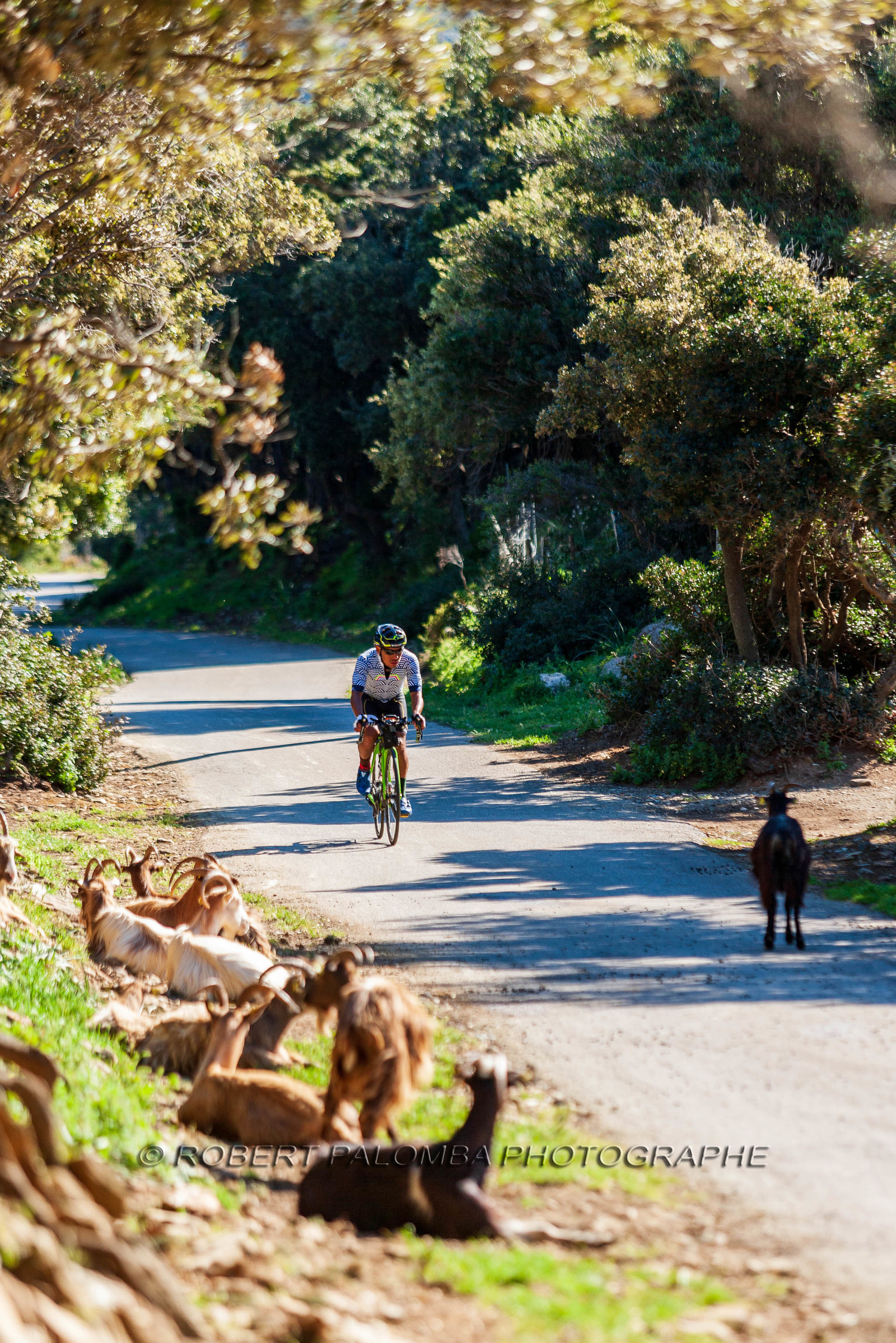 Bikingman Corsica 2019