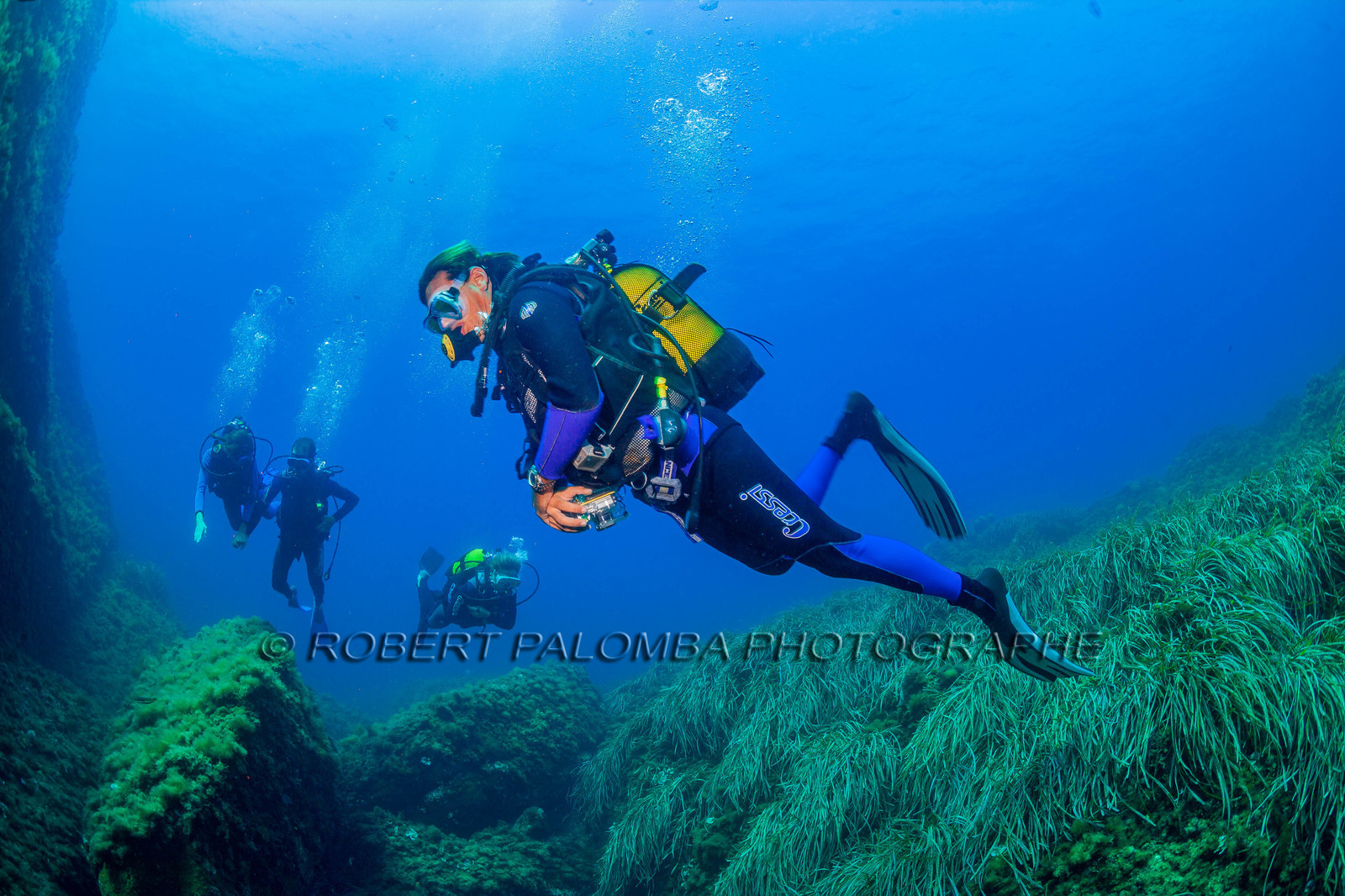 Plongée-sous-marine