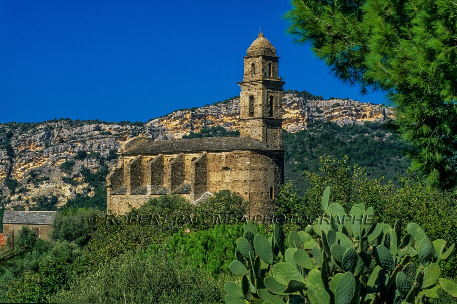 Patrimonio