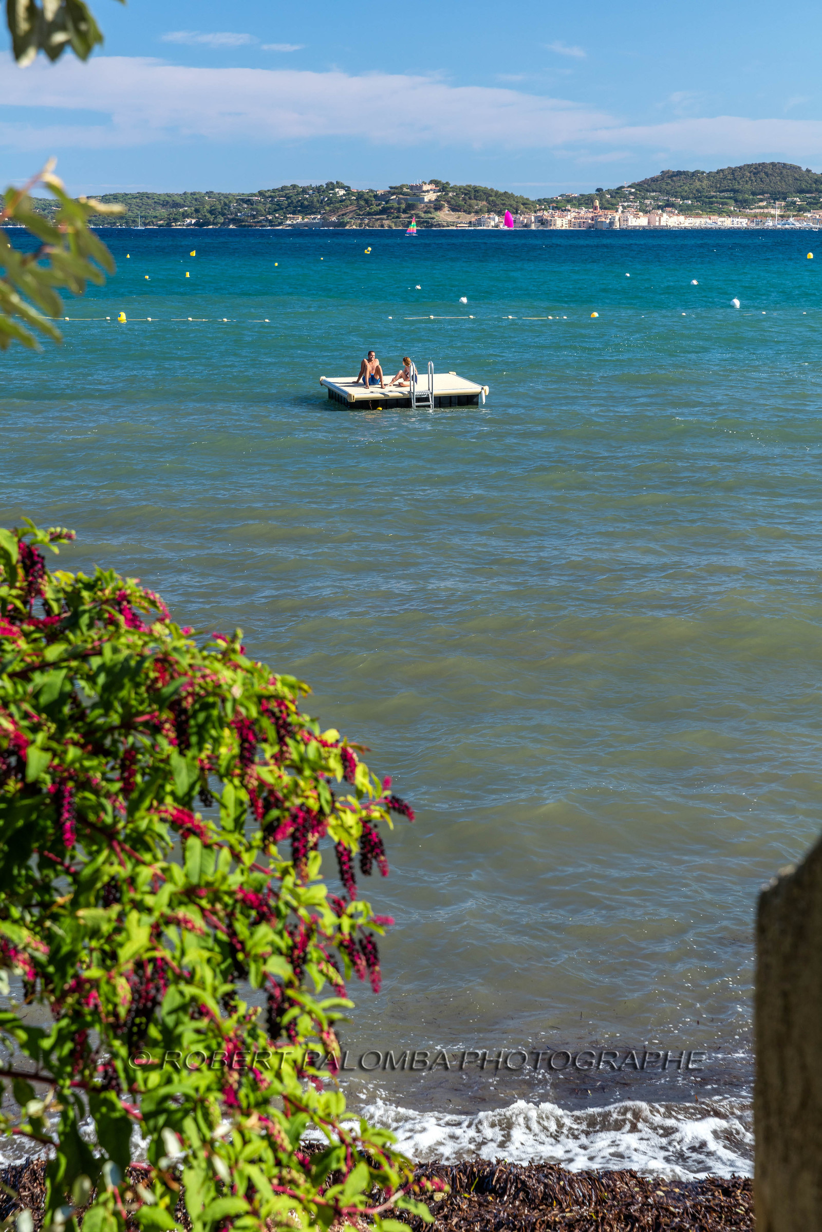 Grimaud