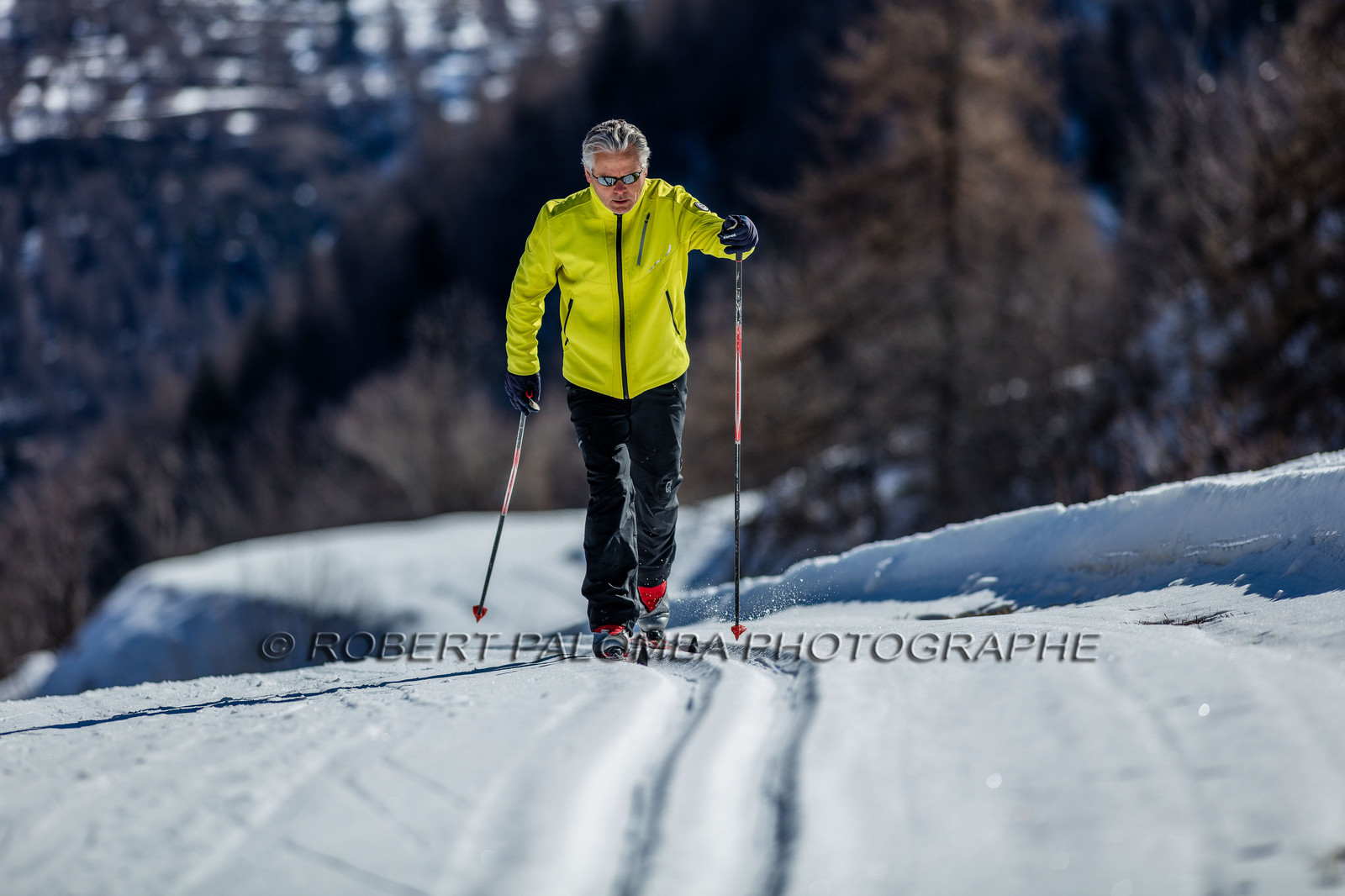 Ski de fond