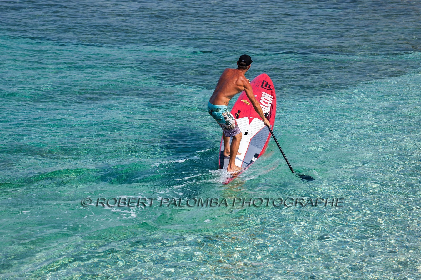 Paddle