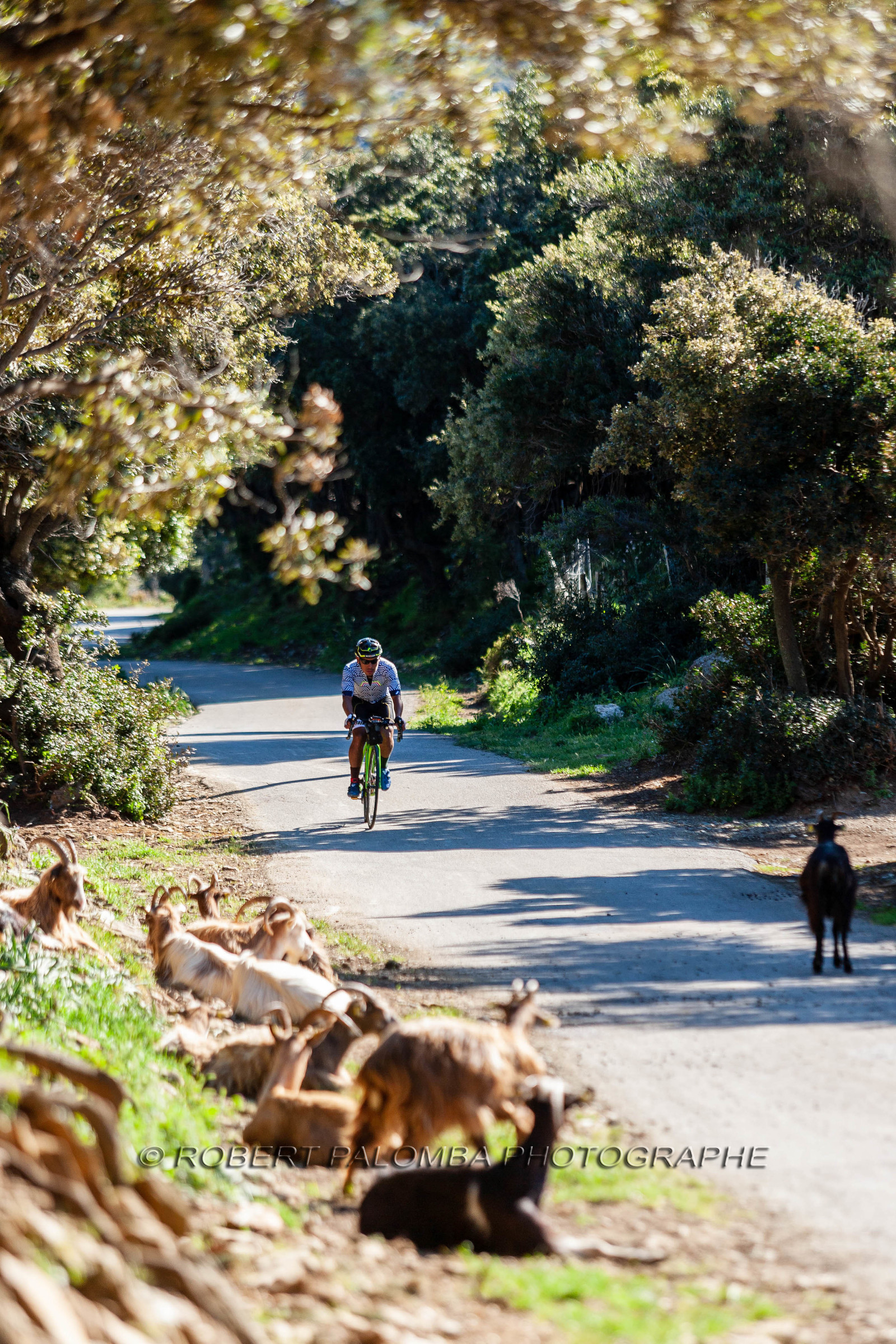 Bikingman Corsica 2019