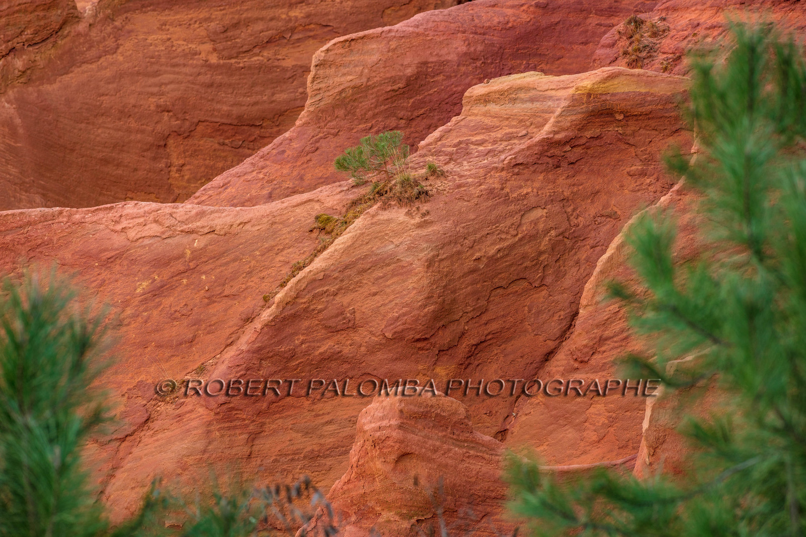 Roussillon