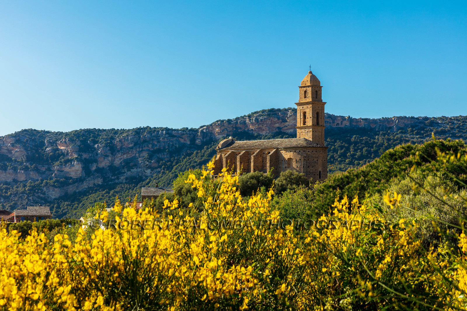 Patrimonio