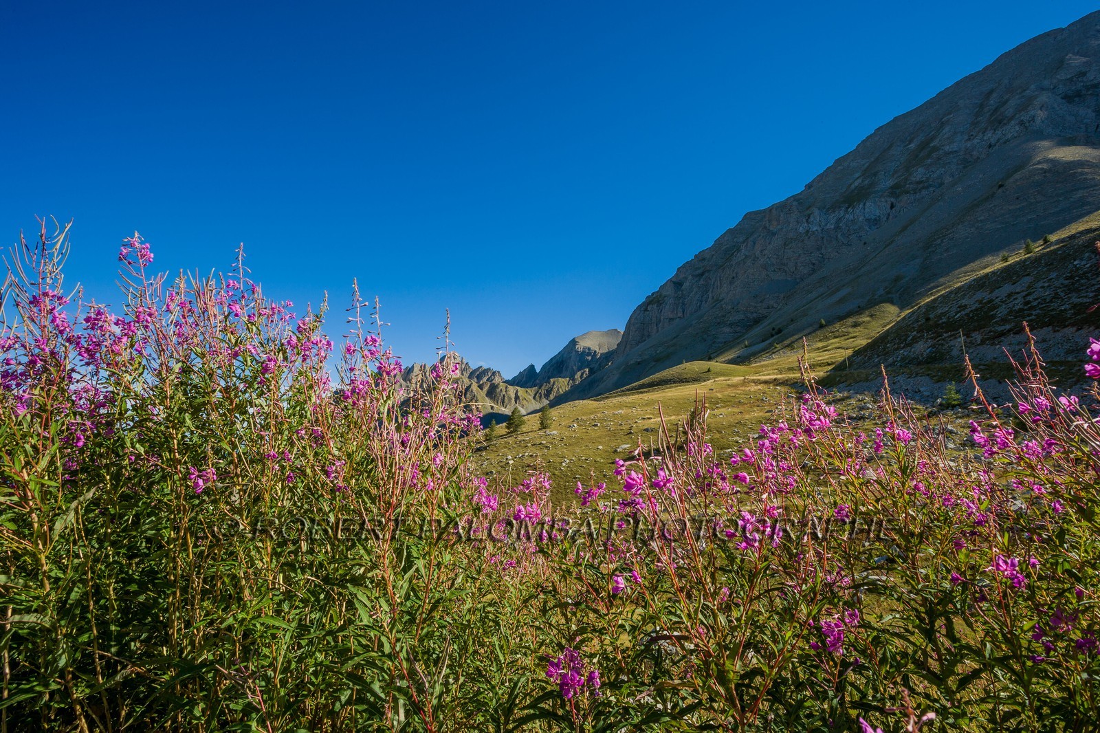 Col des Champs
