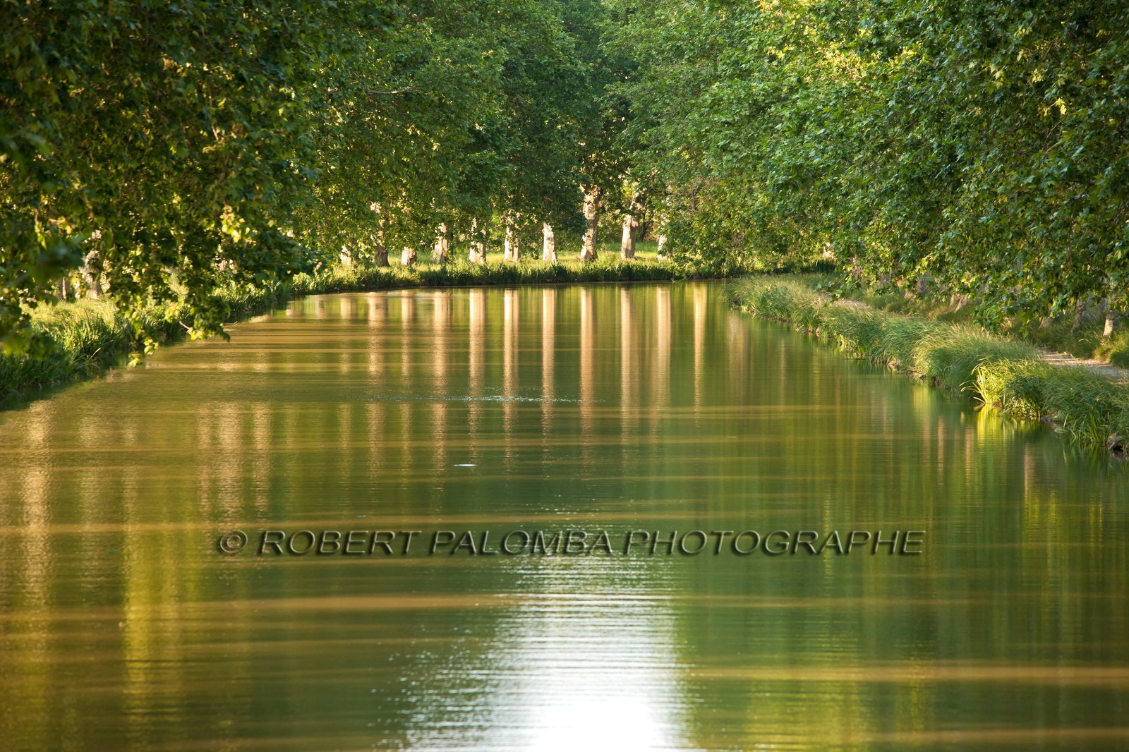 Canal du Midi