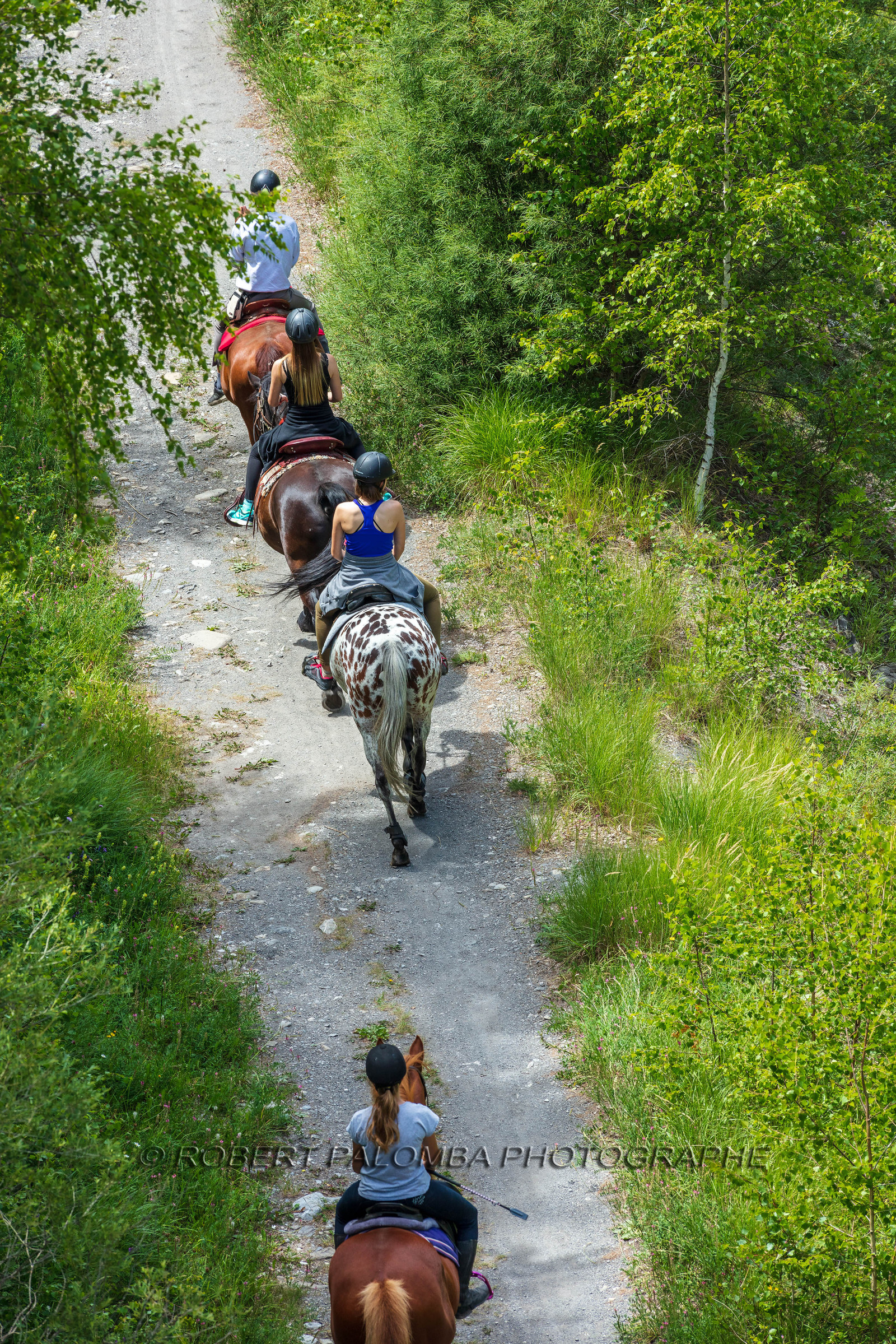 Equitation