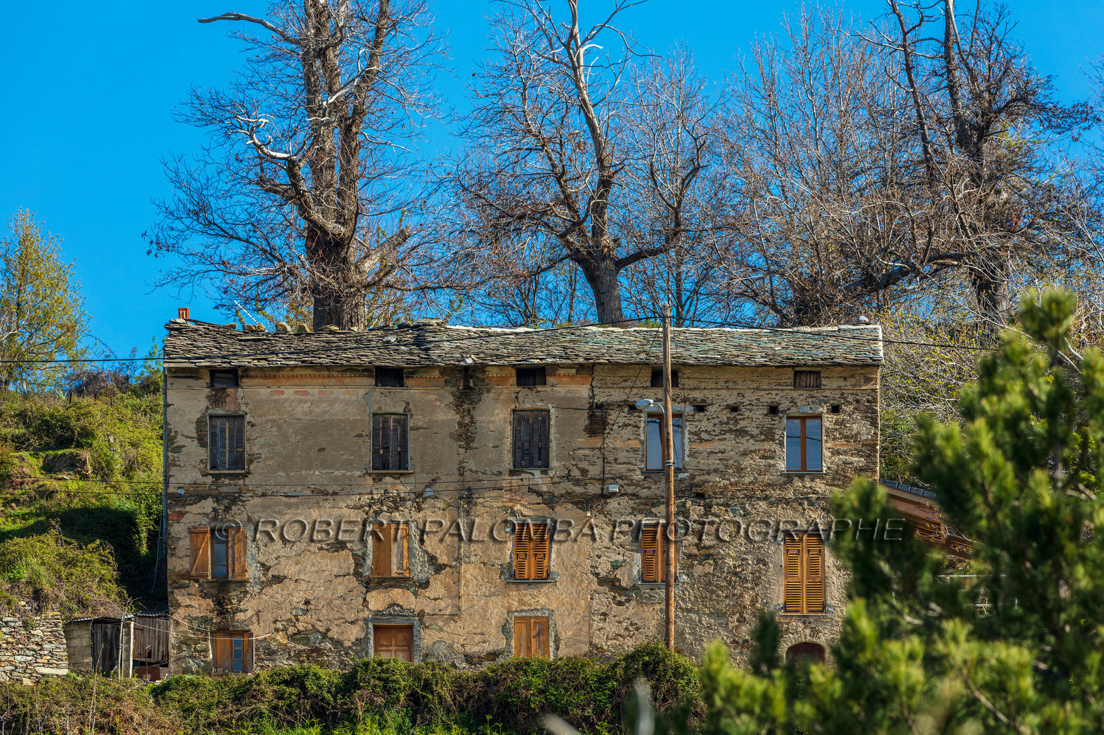 Morosaglia