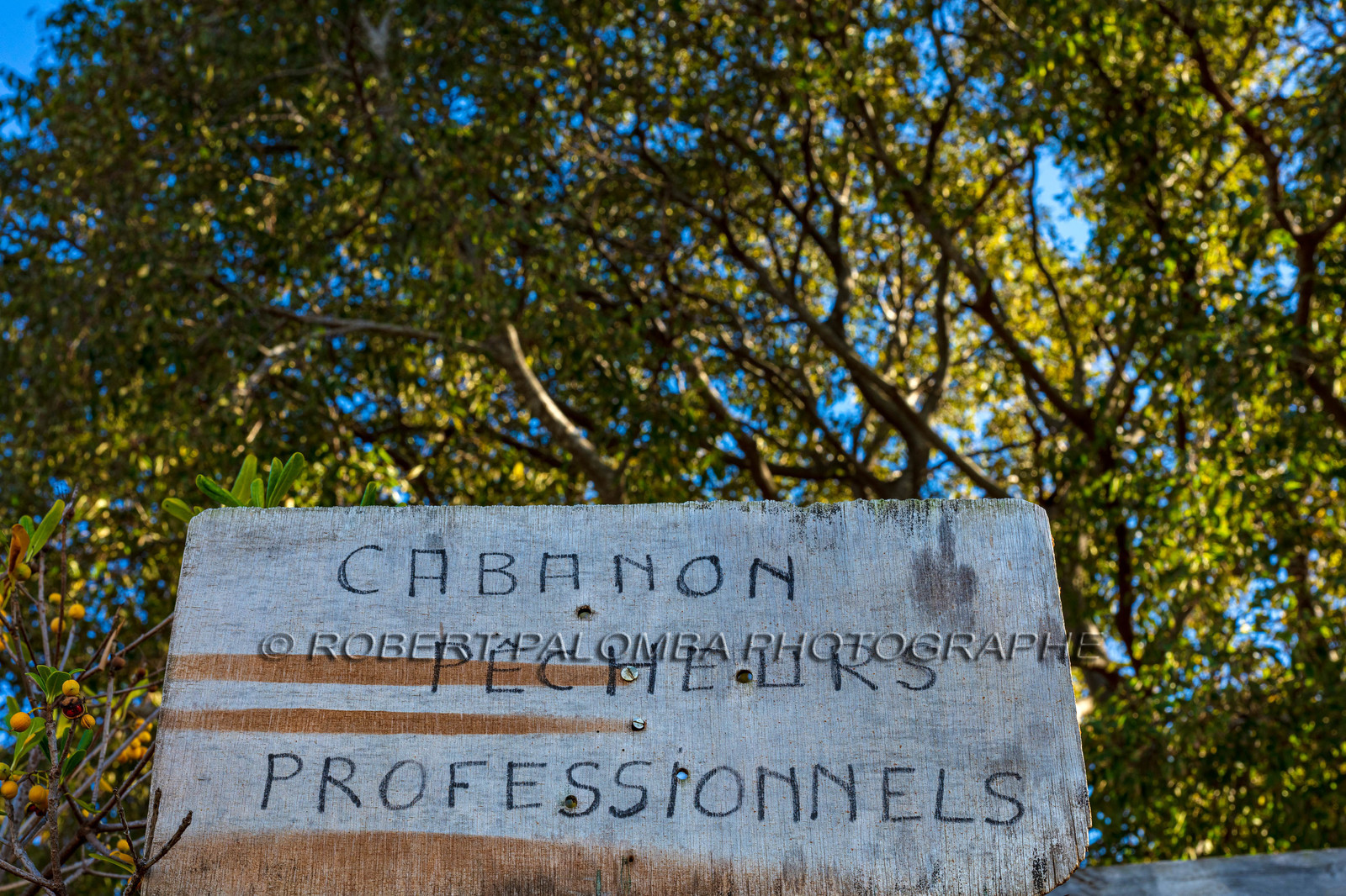 Lérins, Sainte-Marguerite