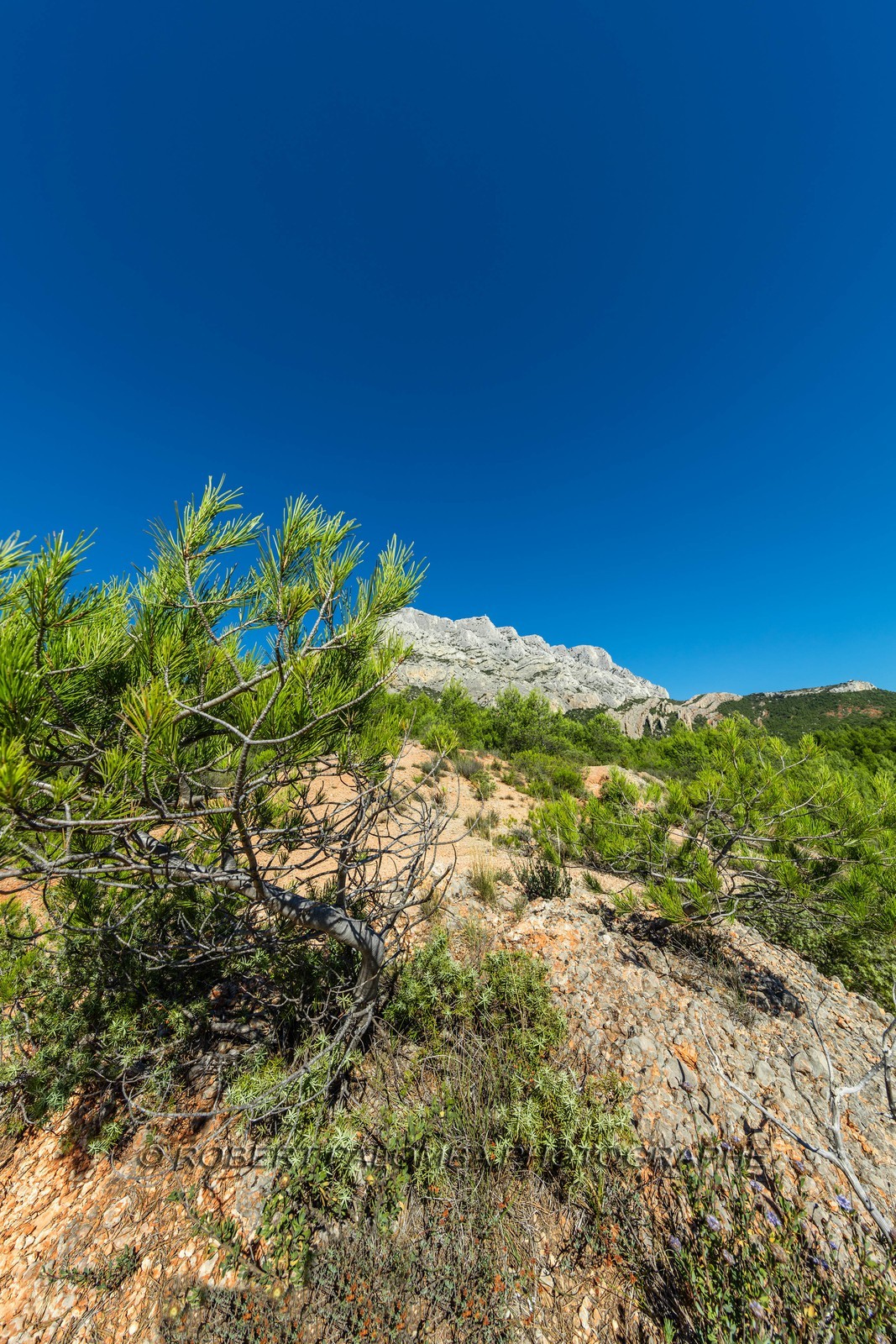 Sainte-Victoire