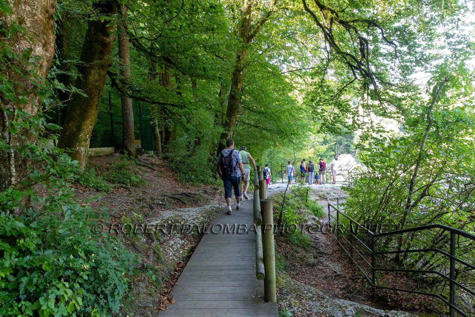Gorges du Fier