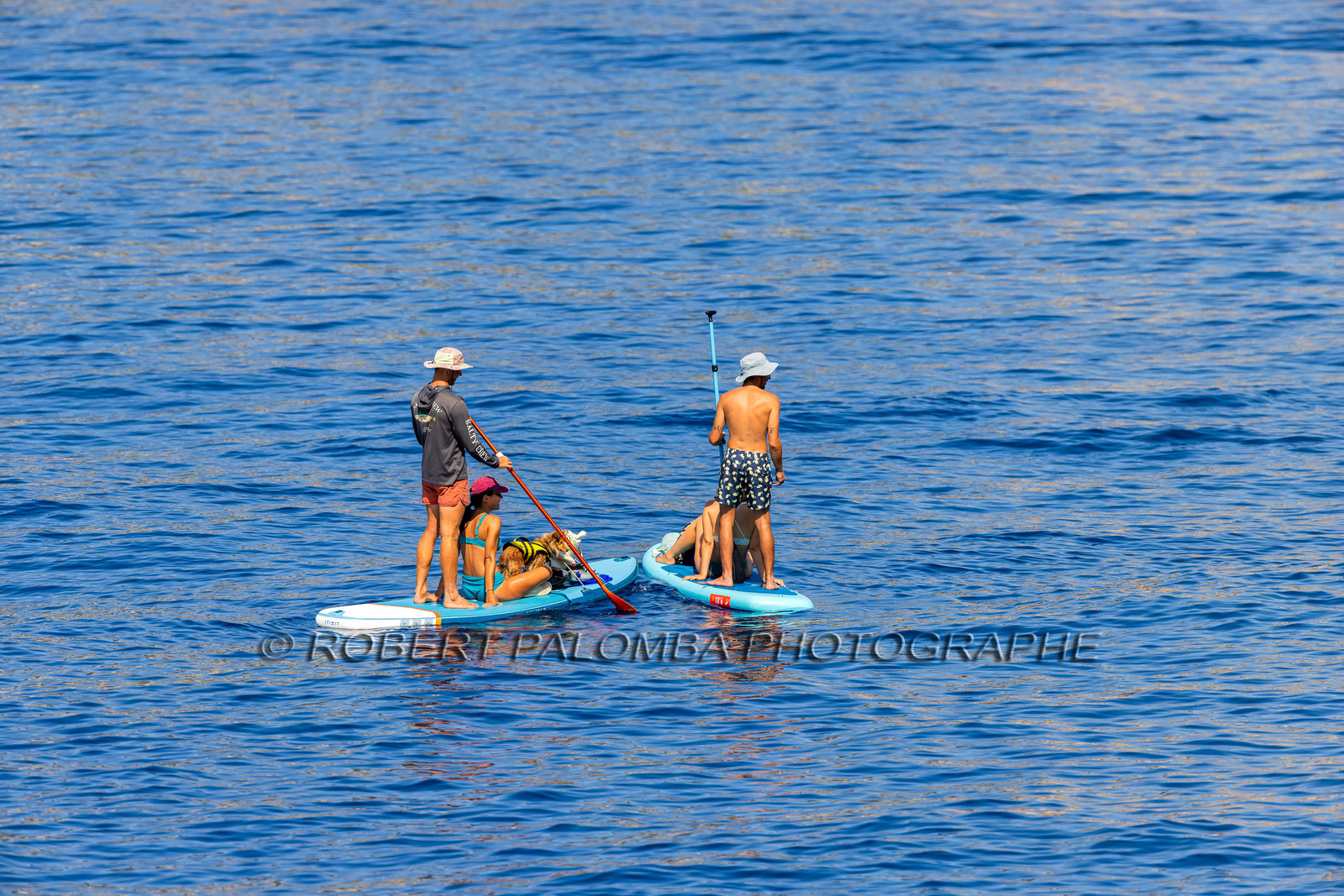 Paddle