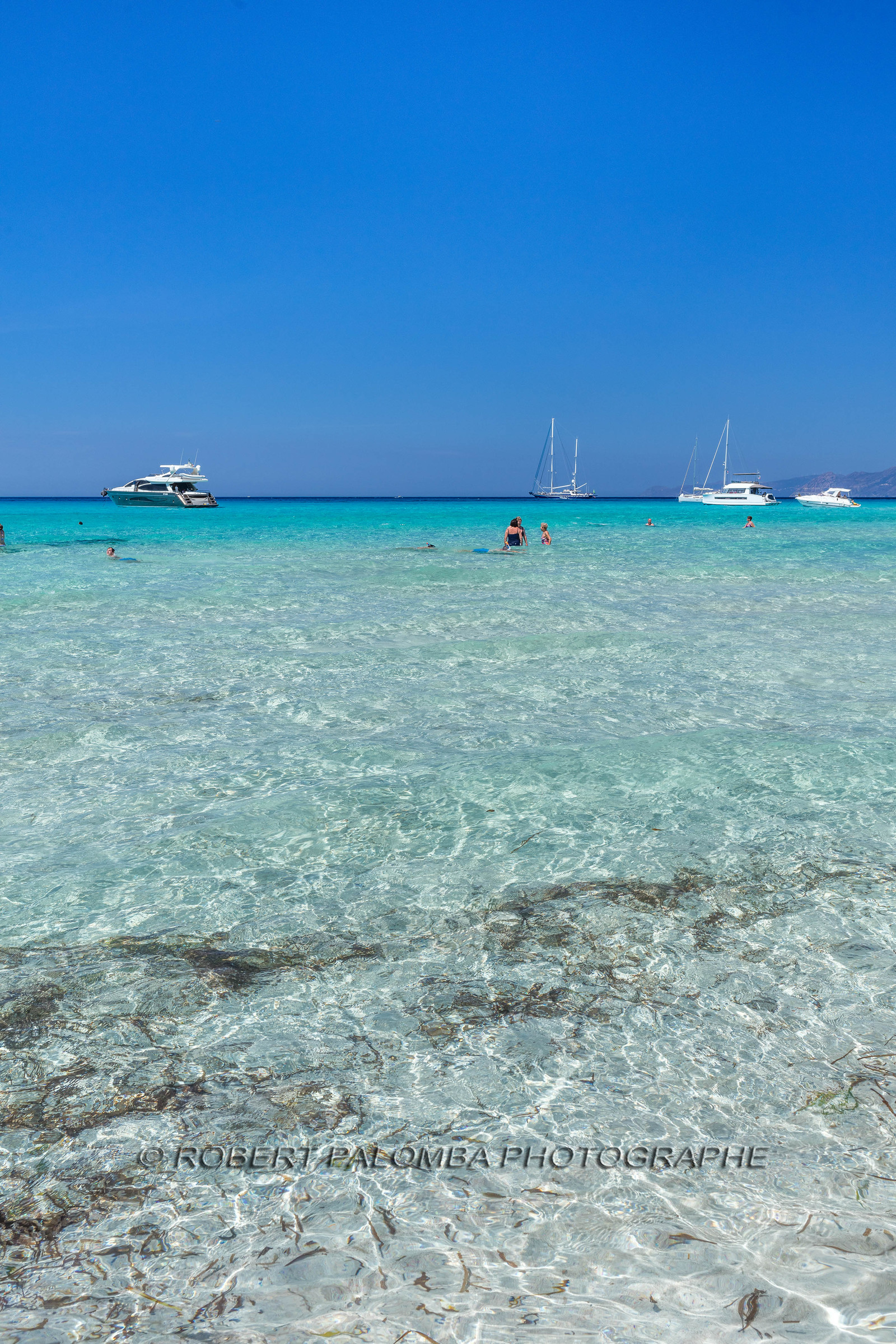Saleccia
