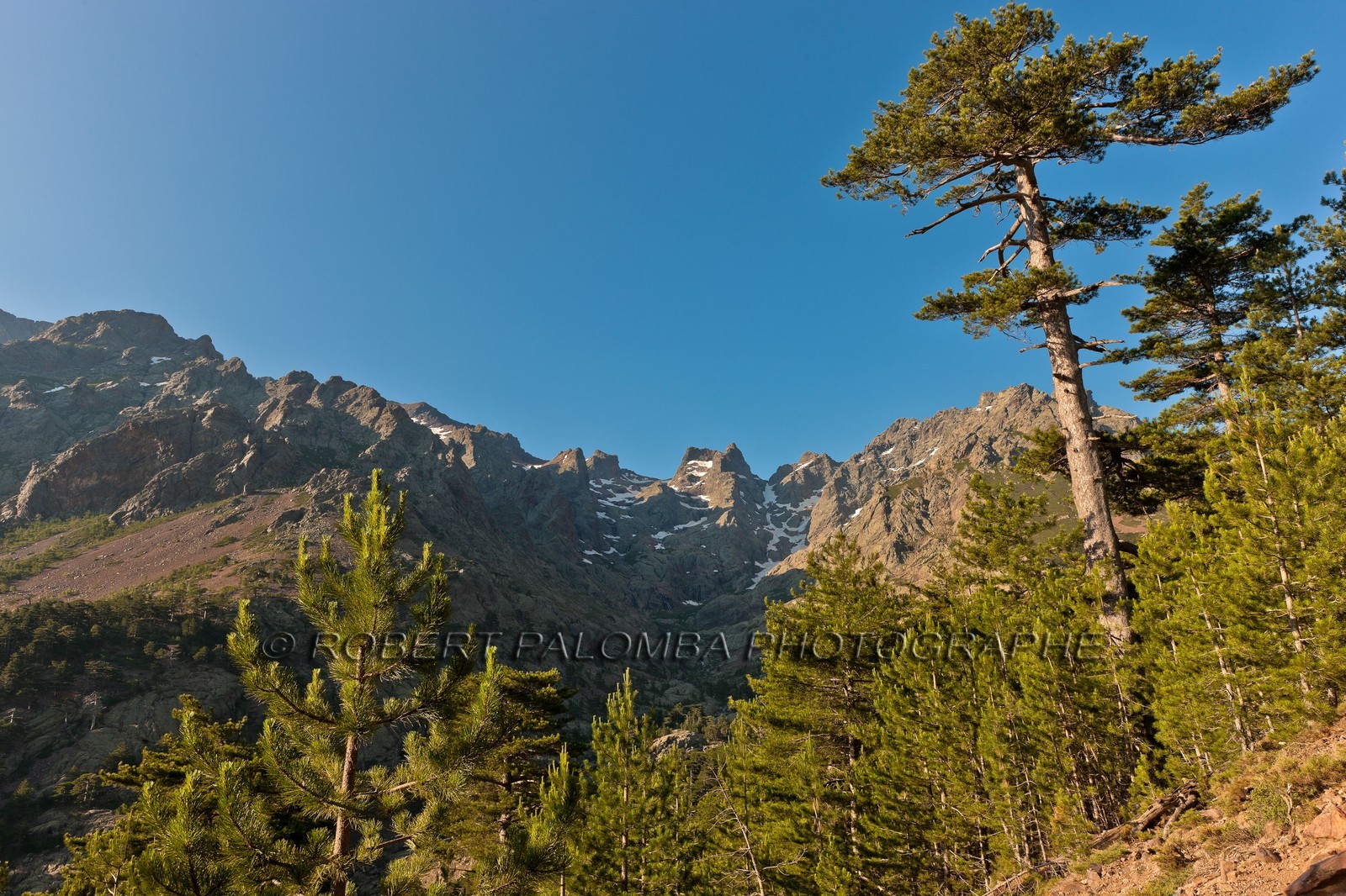 Monte Cinto